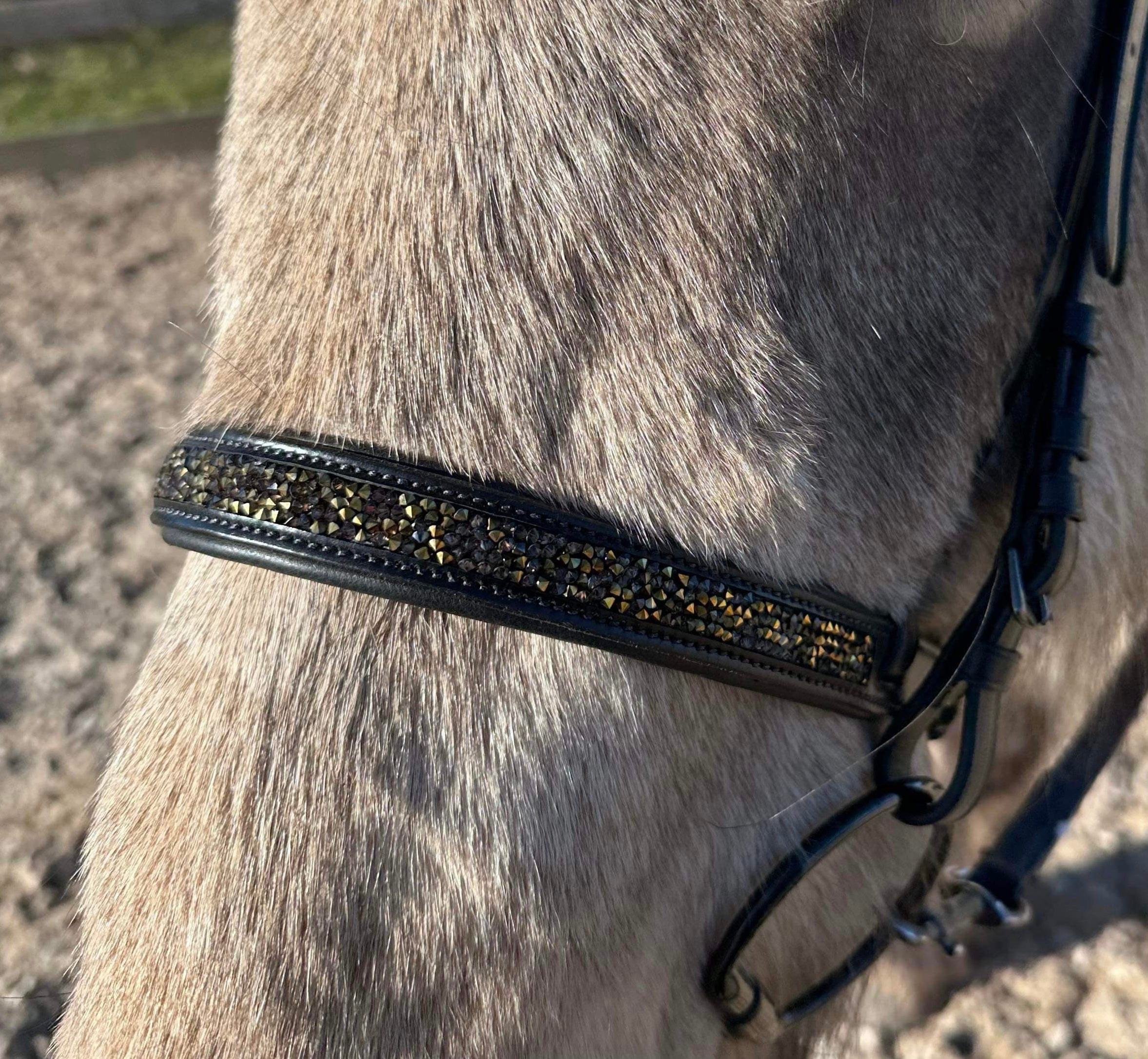 PH deluxe engelsk næserem rockcrystal gold - Aríus Icehorse Line