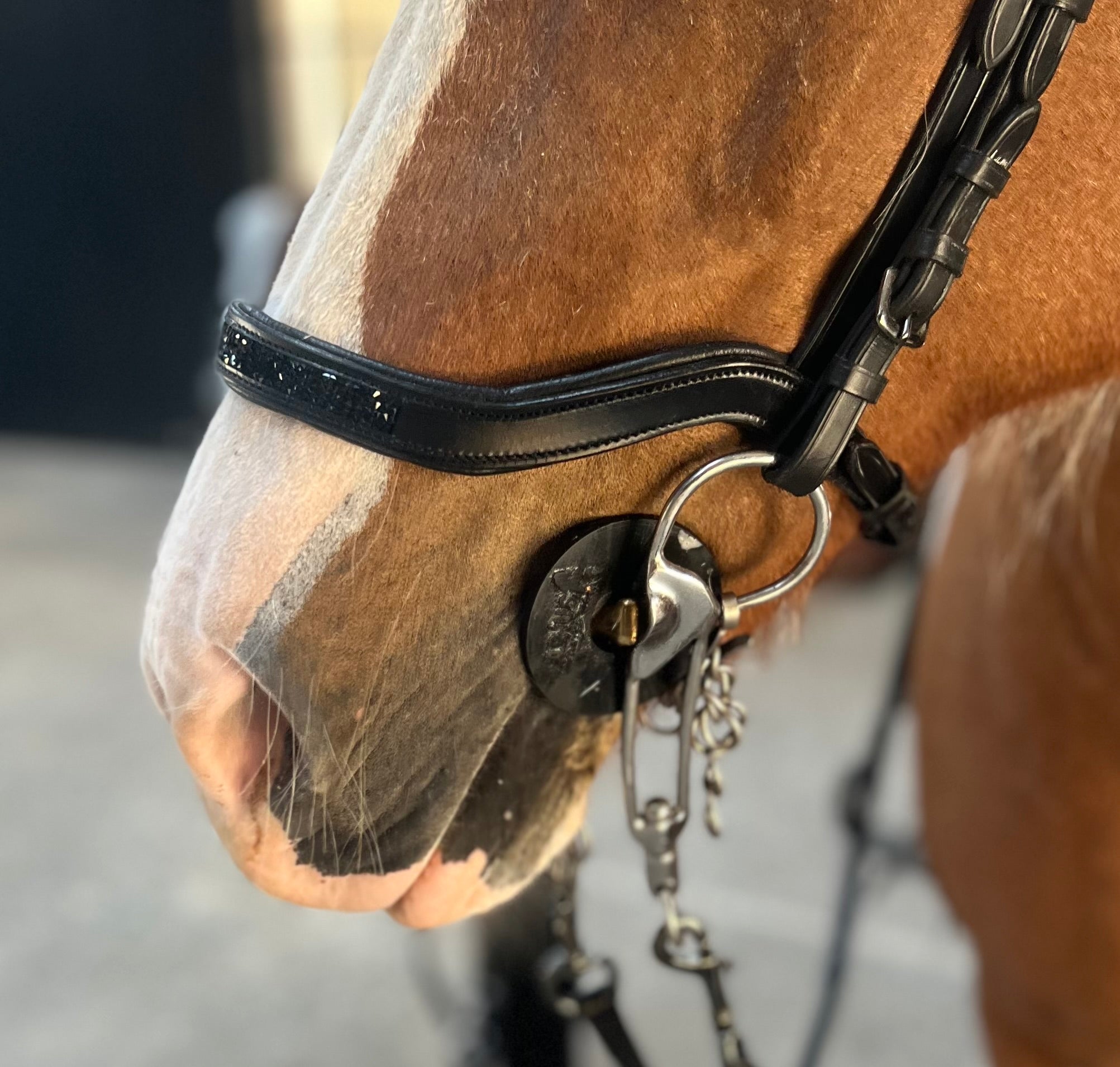 PH deluxe næserem engelsk anatomic rockcrystal black - Aríus Icehorse Line