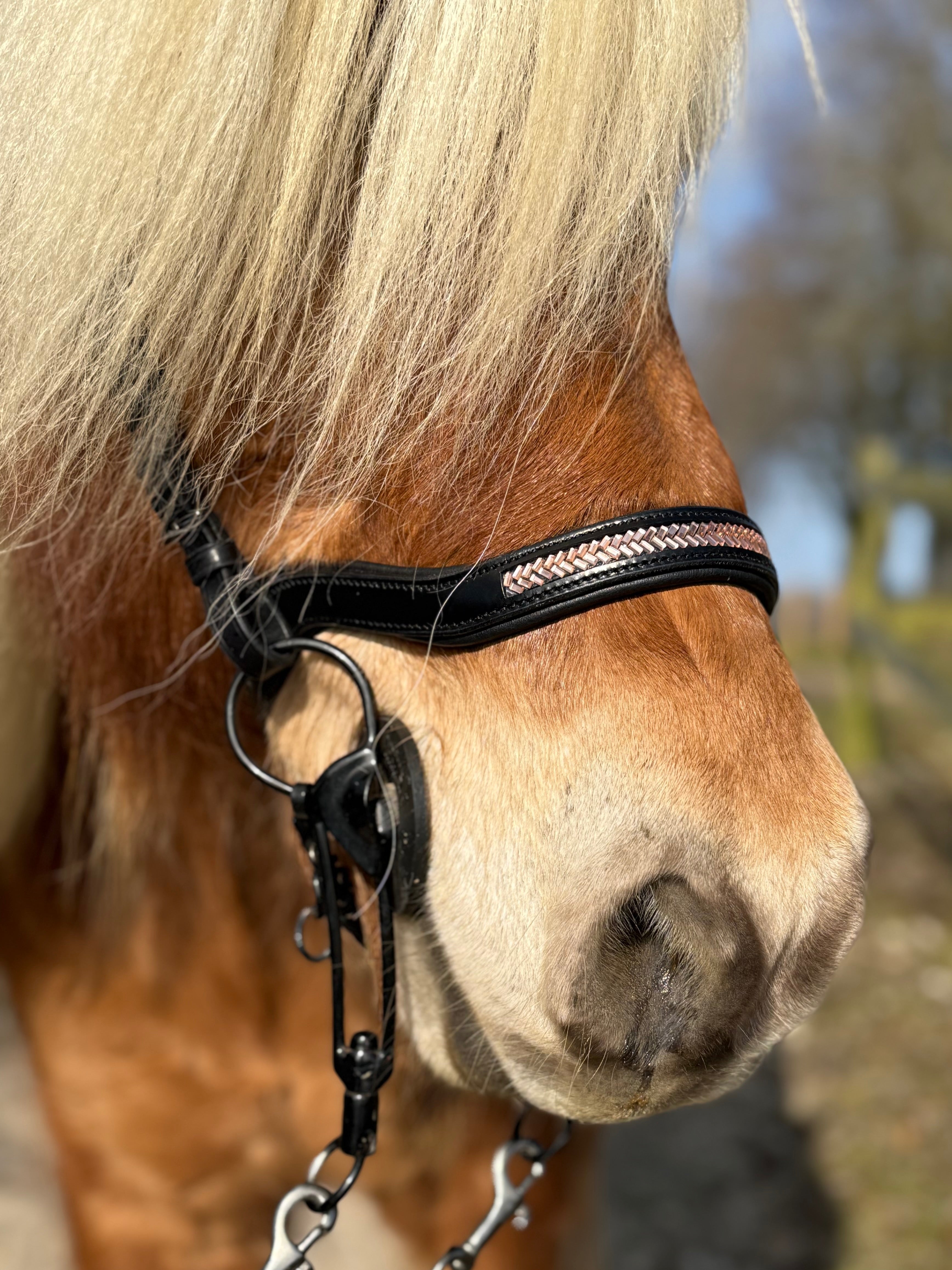 PH deluxe næserem engelsk anatomic arrow rosegold - Aríus Icehorse Line