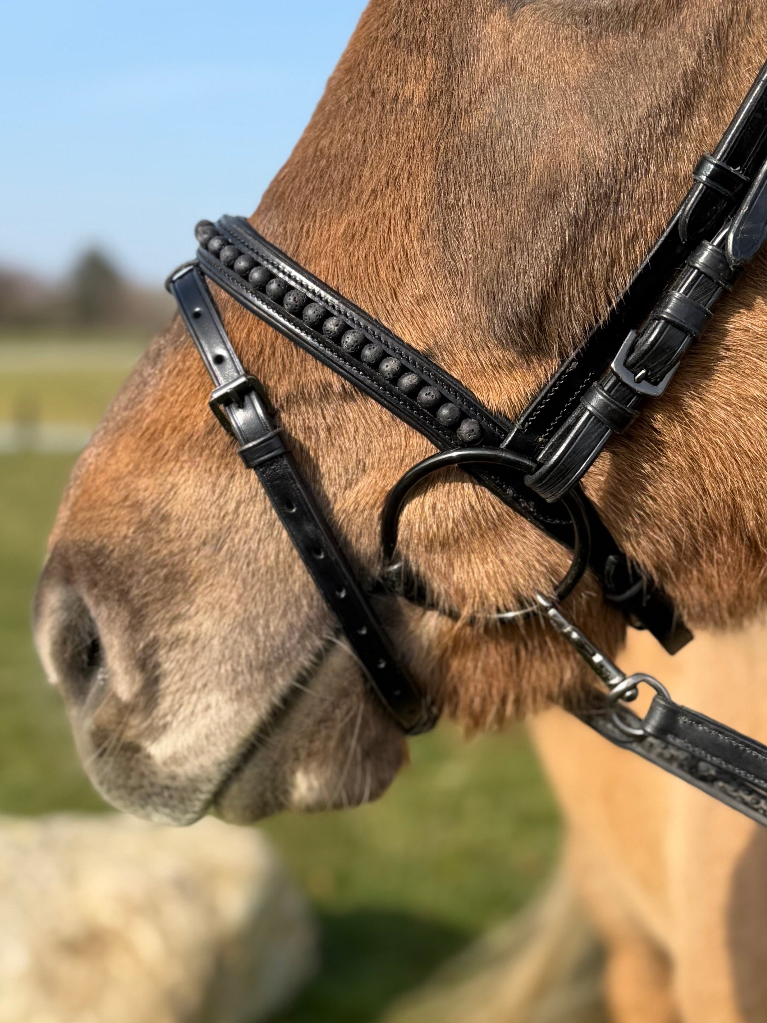 PH deluxe kombineret næserem black lava - Aríus Icehorse Line
