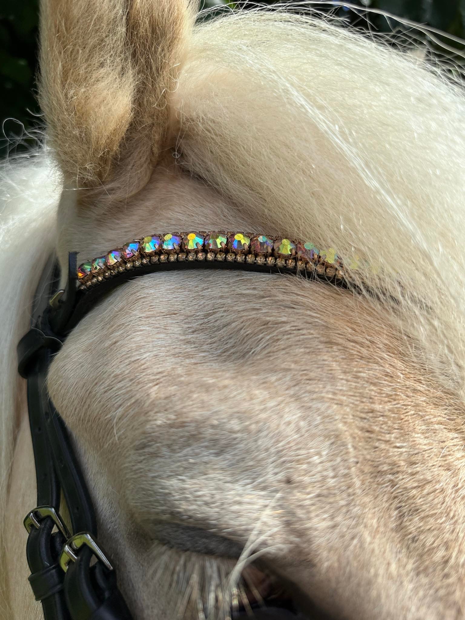 PH deluxe pandebånd diamond 3 rows golden rainbow - Aríus Icehorse Line