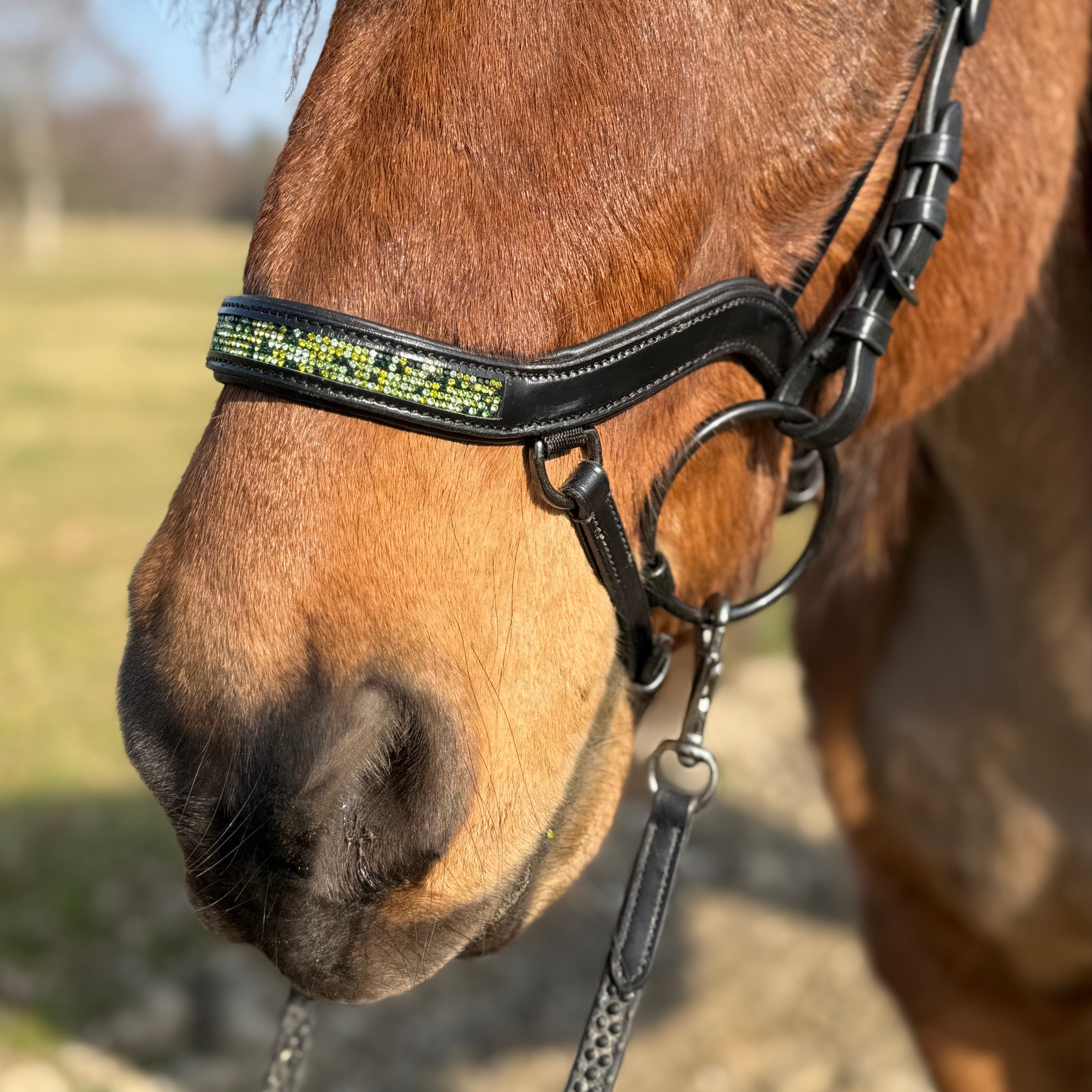 PH deluxe næsebånd "Anatomic" buckle green magic - Aríus Icehorse Line
