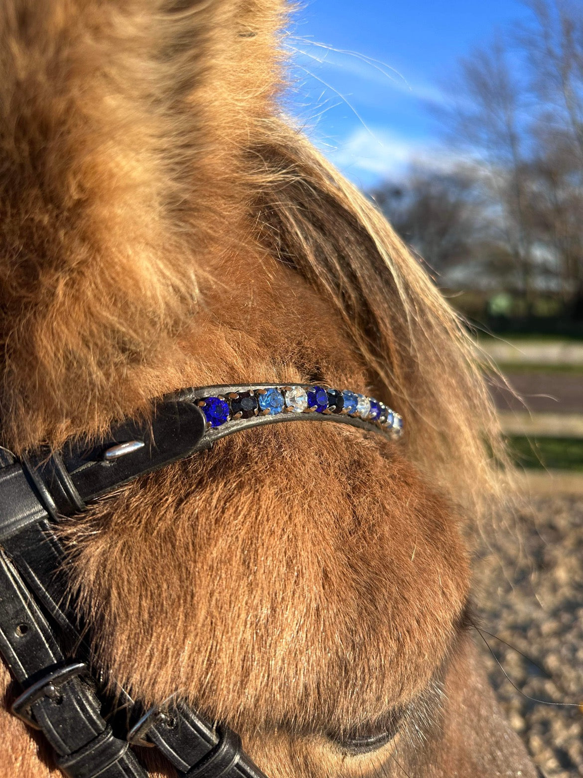 PH deluxe pandebånd “DIAMOND fine” blue - Aríus Icehorse Line