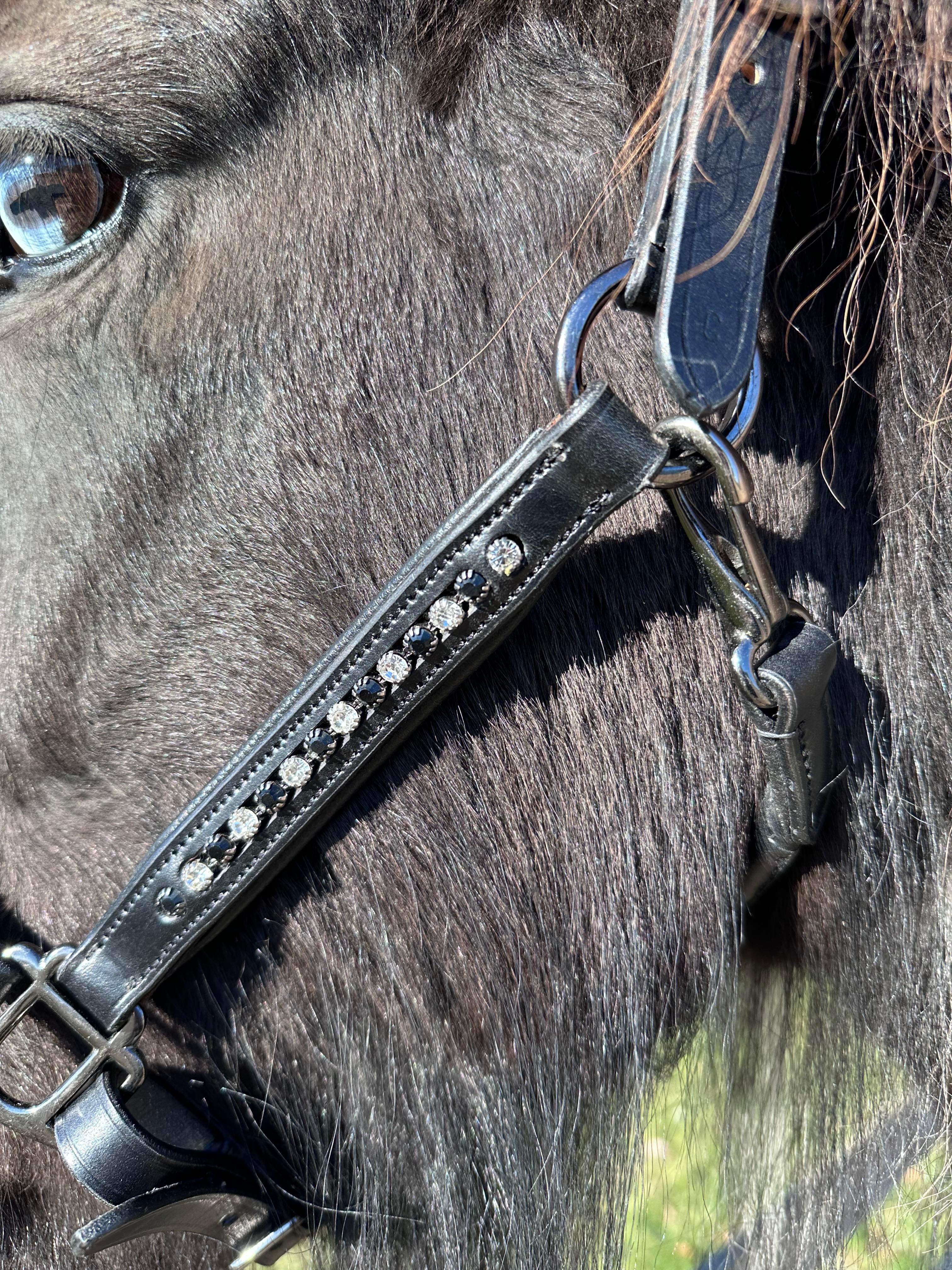 PH grime DIAMOND Black&white - Aríus Icehorse Line