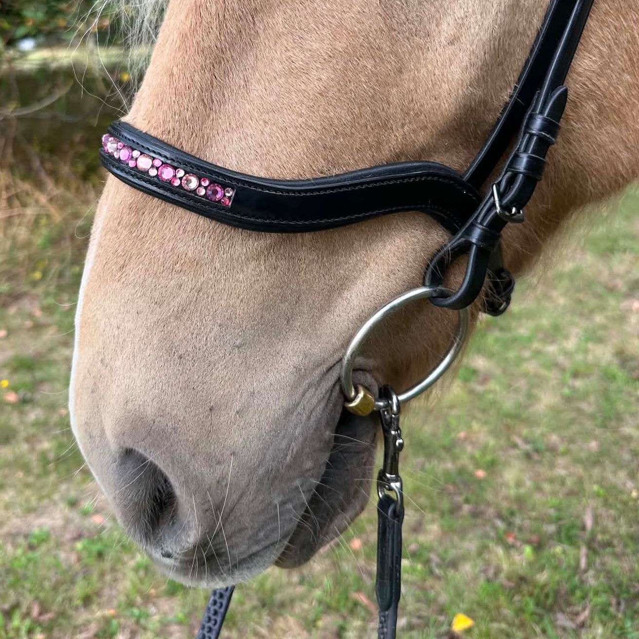 PH deluxe næserem engelsk anatomic moonstone pink