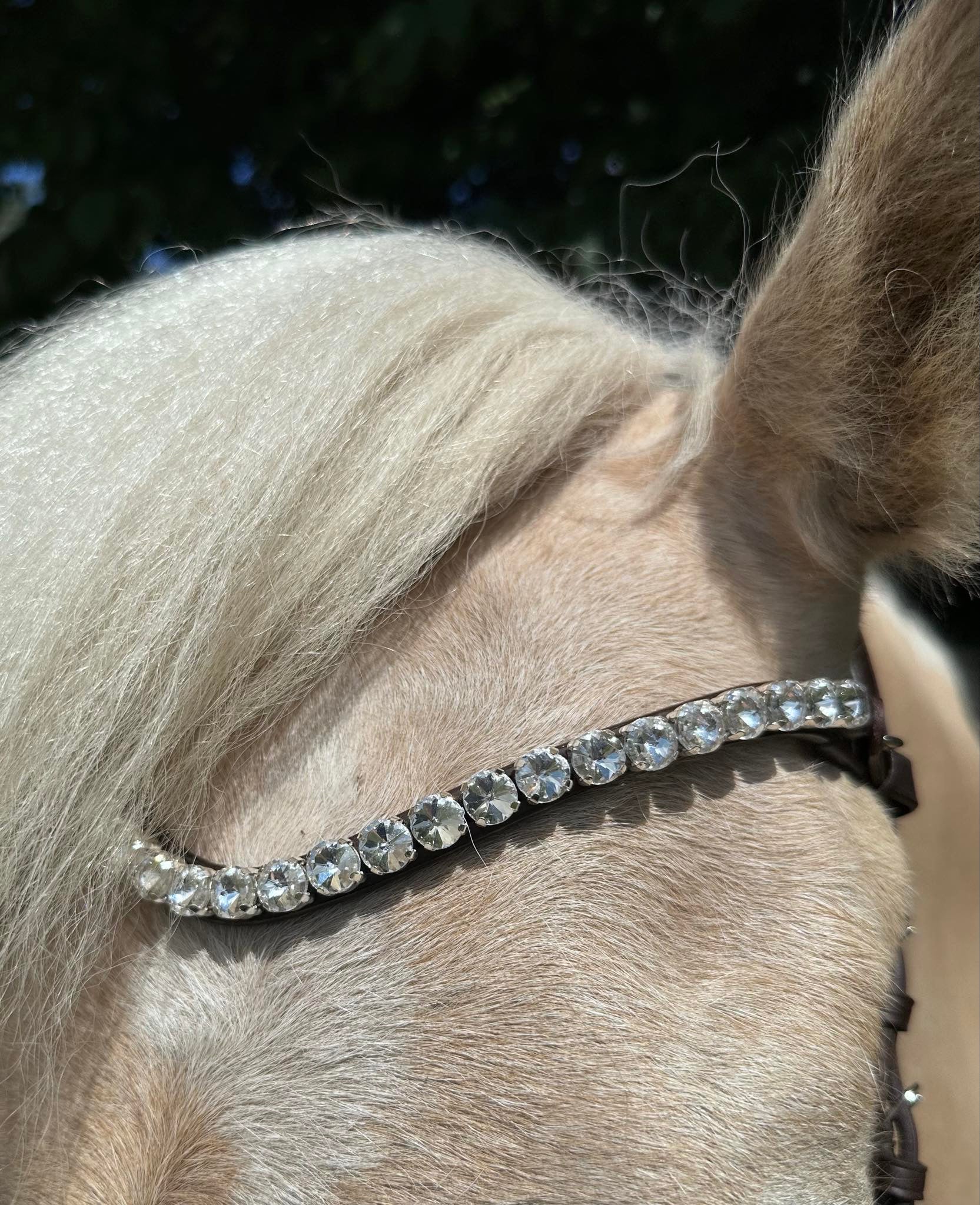 PH deluxe pandebånd “Big diamonds” white - brown - Aríus Icehorse Line