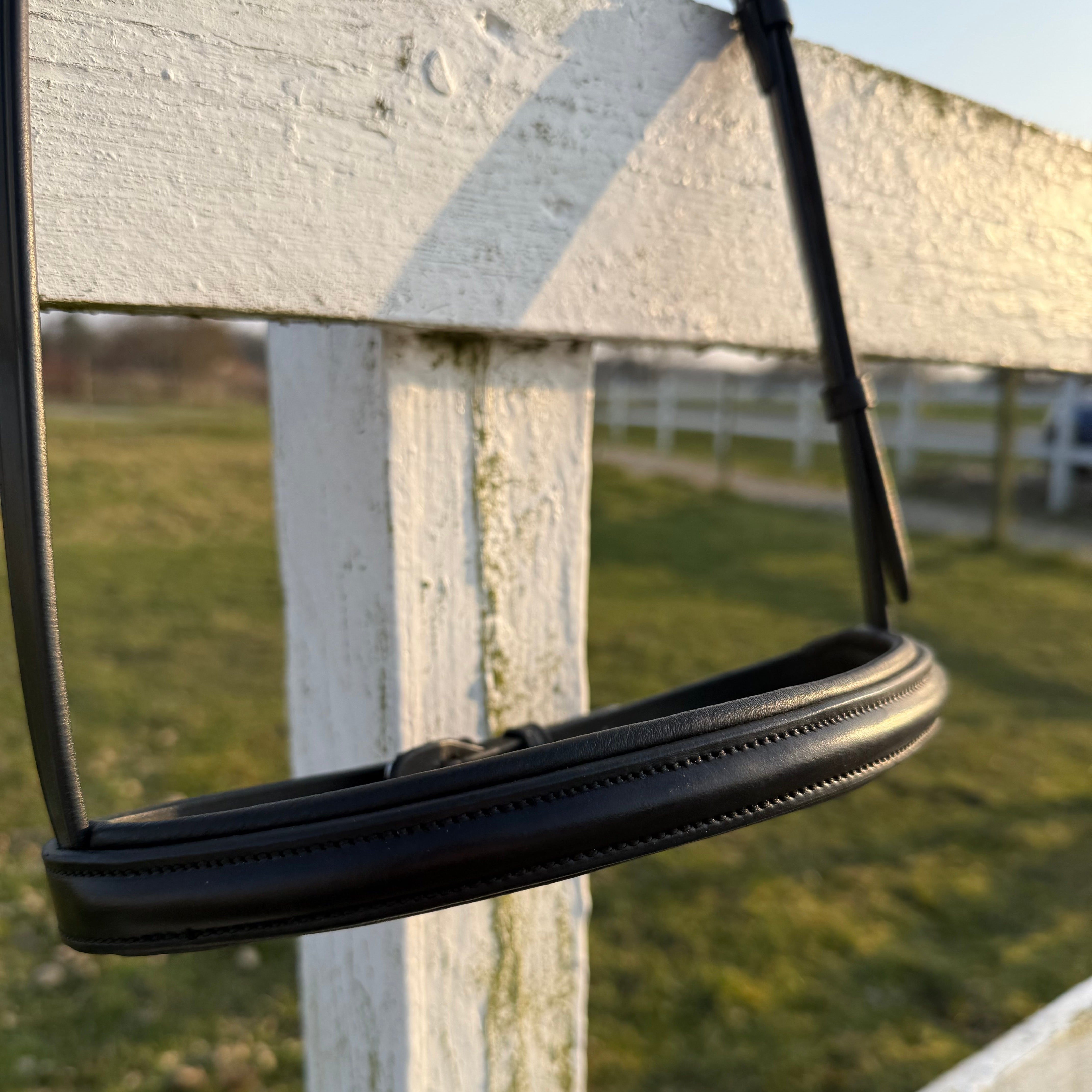 PH næsebånd engelsk simple sort - Aríus Icehorse Line