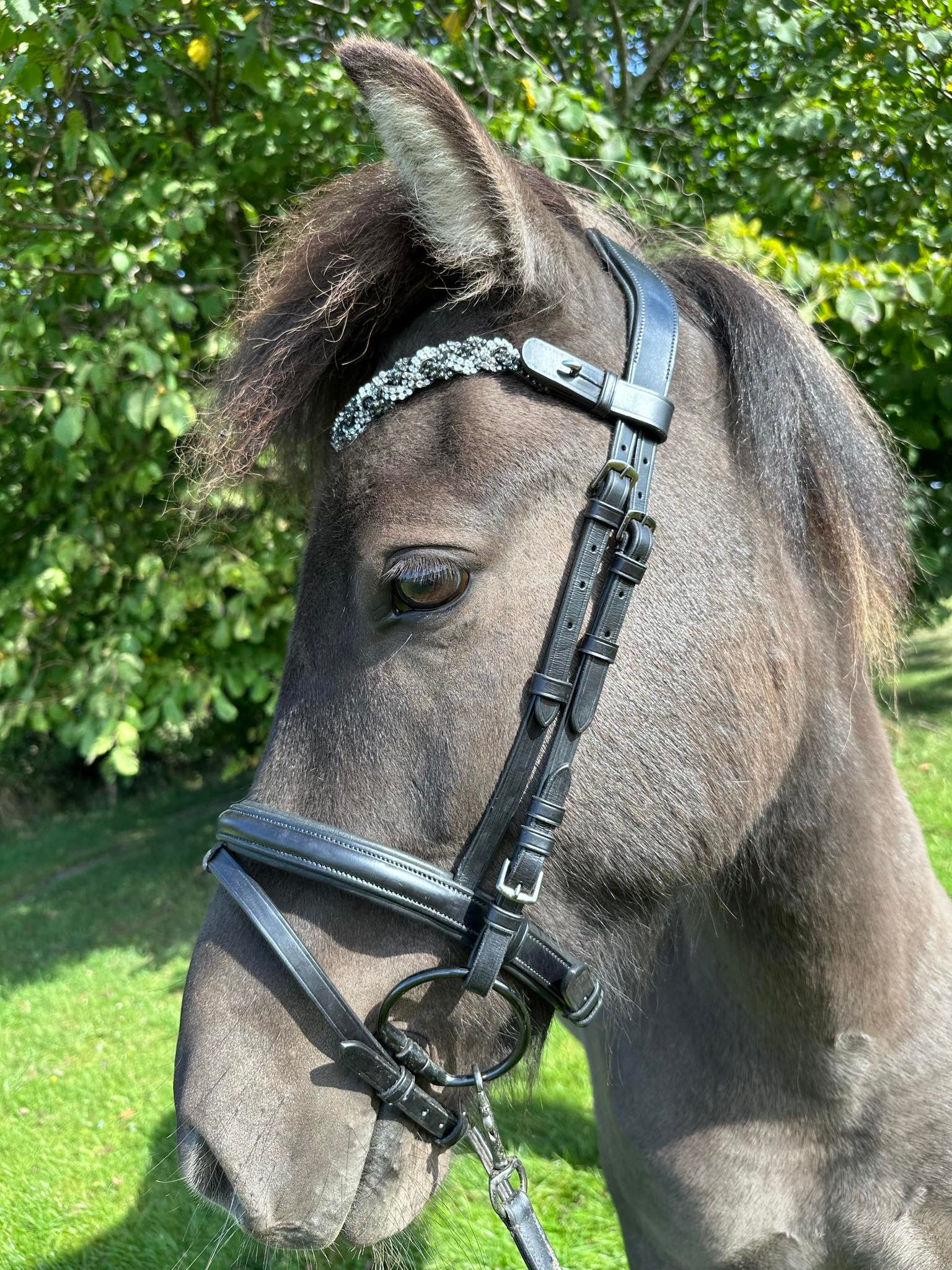 PH deluxe pandebånd diamond braid black/grey/white - Aríus Icehorse Line