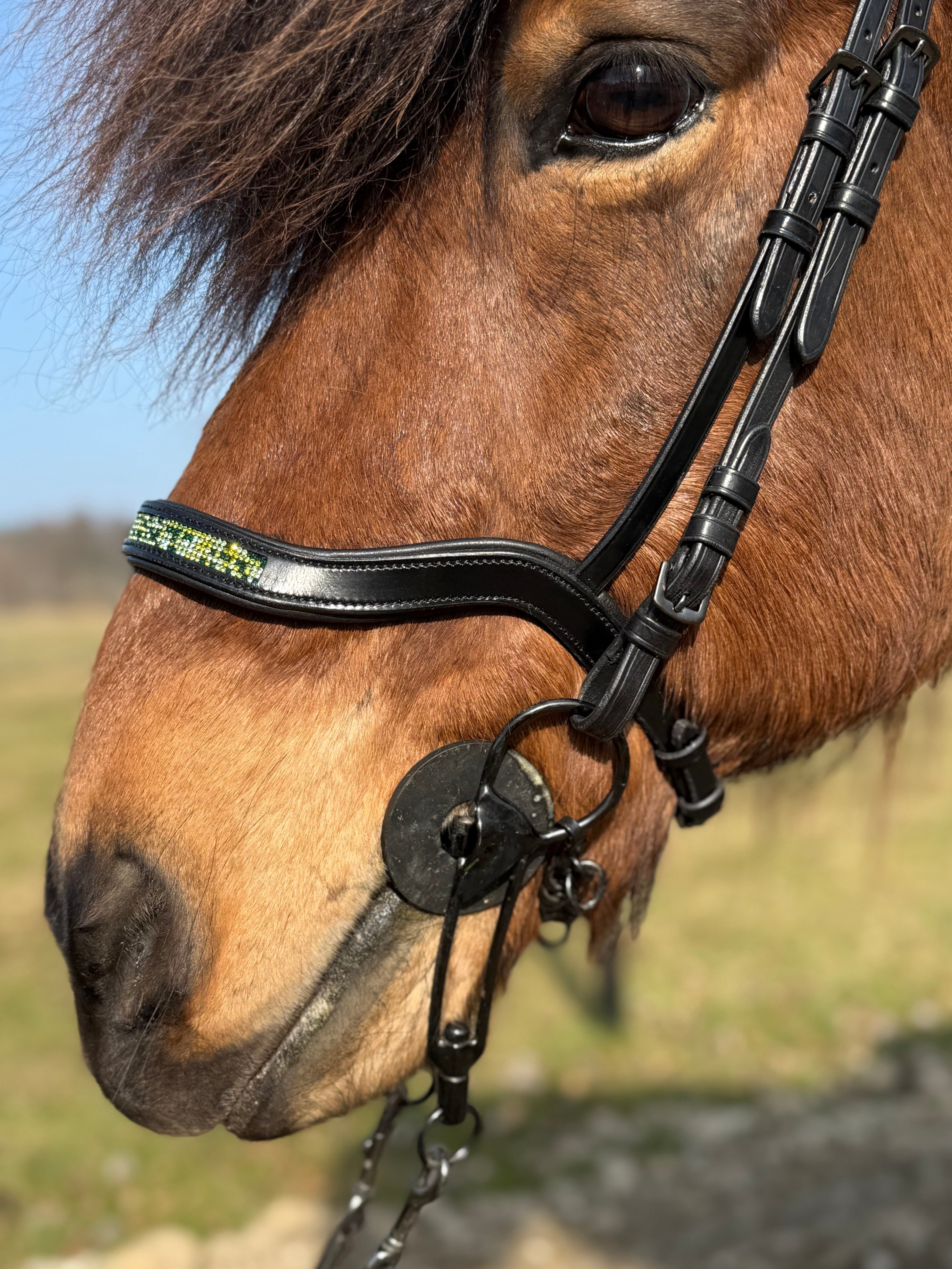 PH deluxe næserem engelsk anatomic green magic - Aríus Icehorse Line