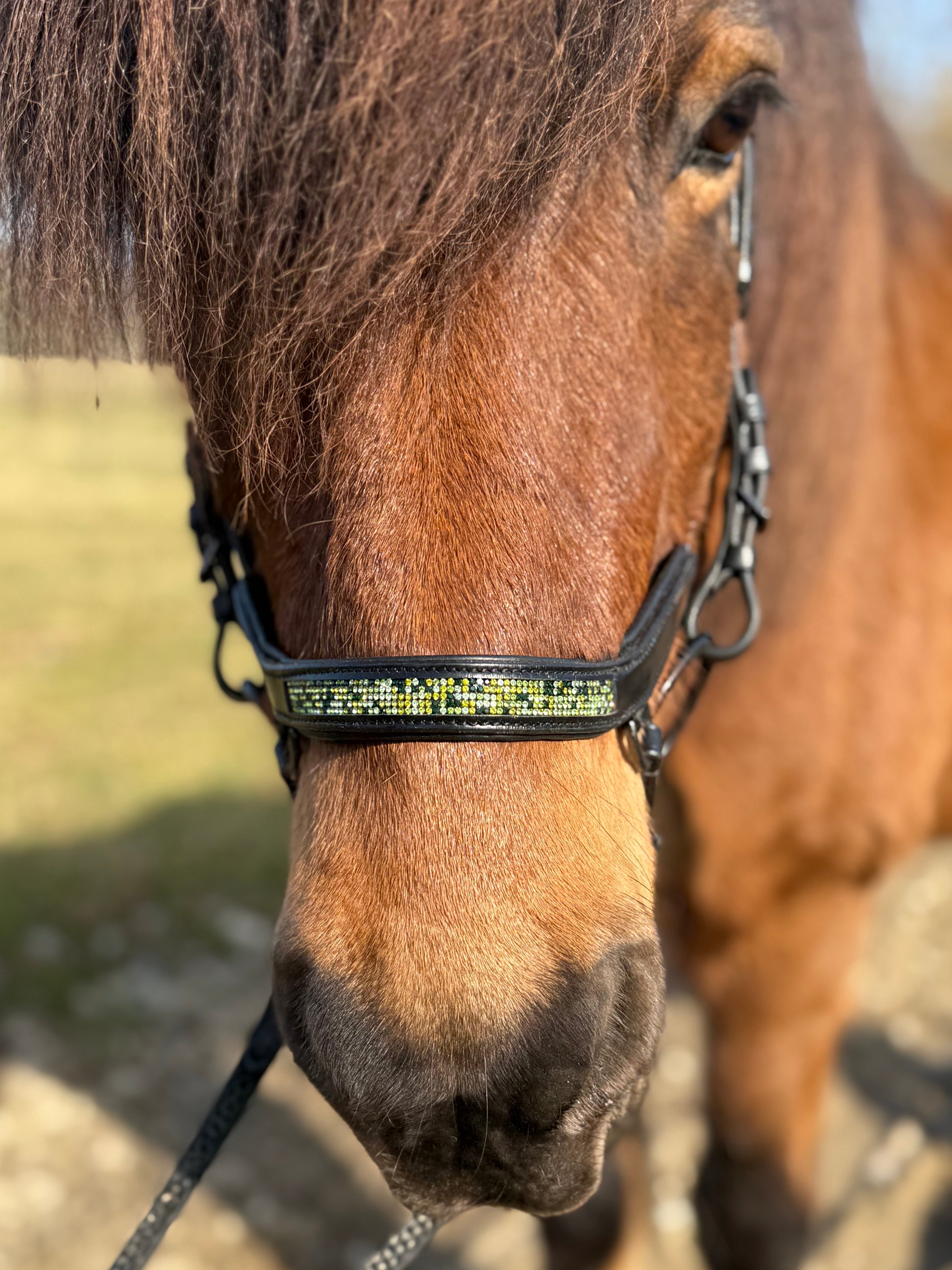 PH deluxe næsebånd "Anatomic" buckle green magic - Aríus Icehorse Line
