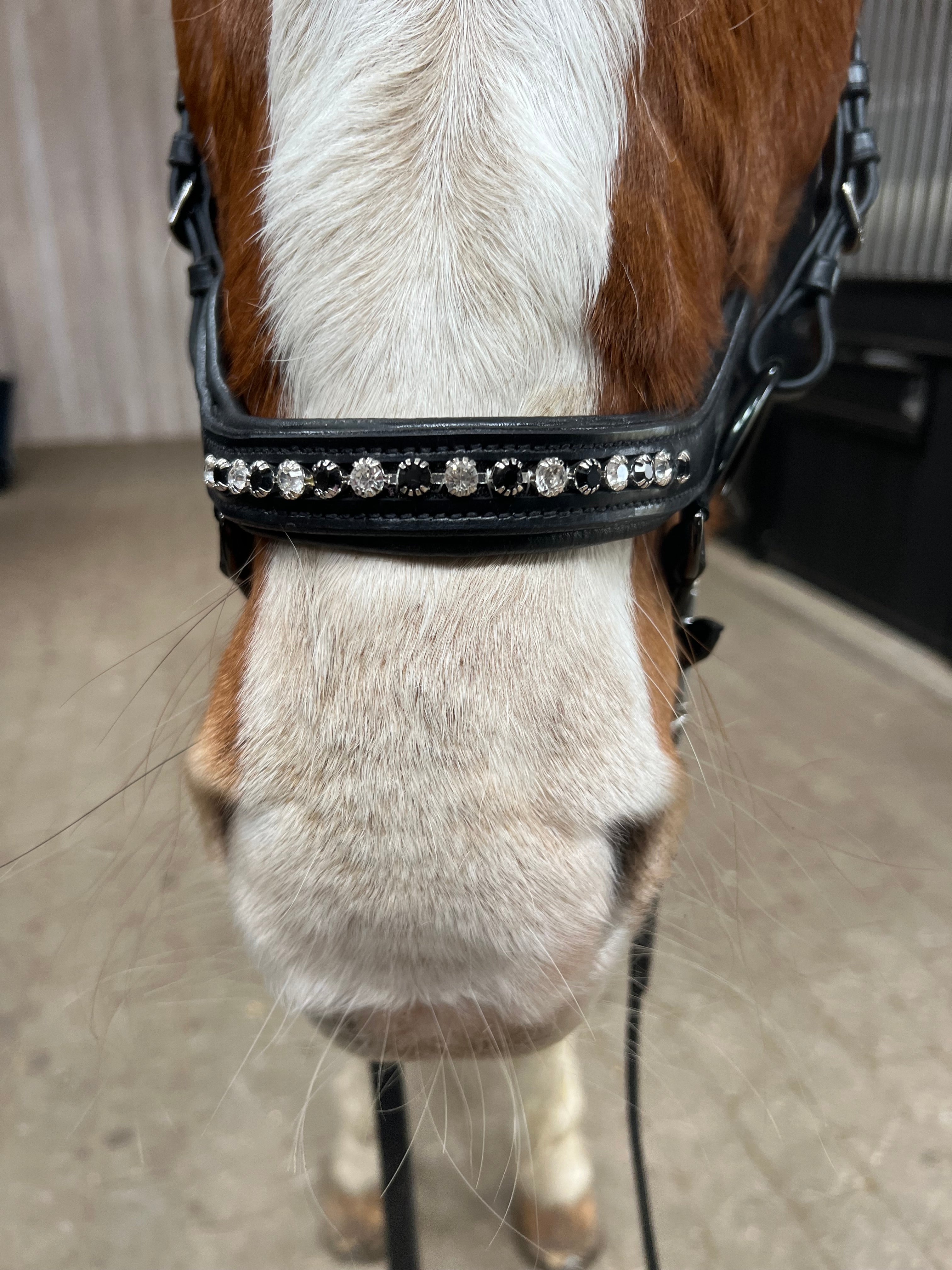 PH deluxe næsebånd "Anatomic" buckle diamond black&white - Aríus Icehorse Line