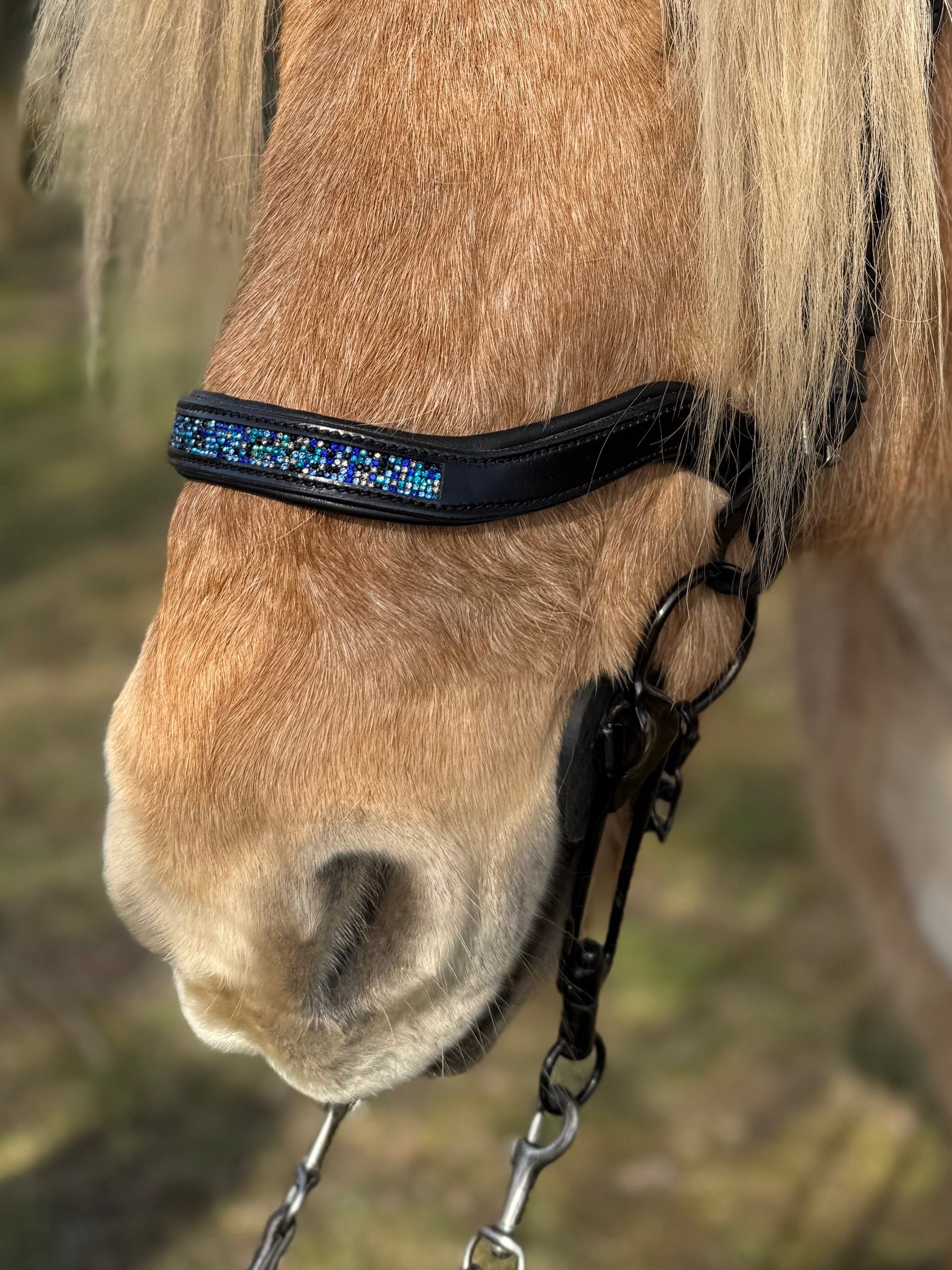 PH deluxe næserem engelsk anatomic blue magic - Aríus Icehorse Line