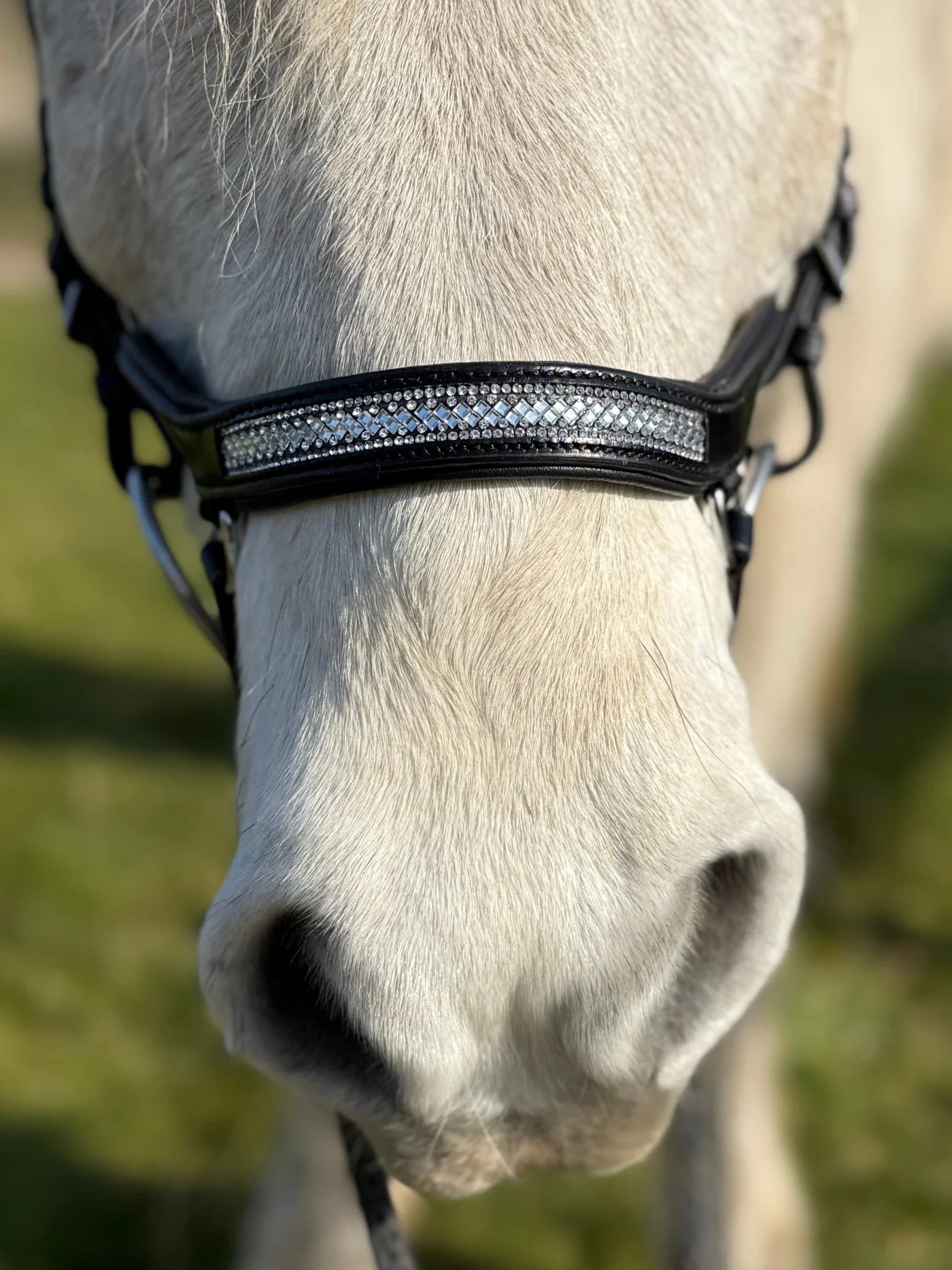 PH deluxe næsebånd "Anatomic" buckle glitter - Aríus Icehorse Line