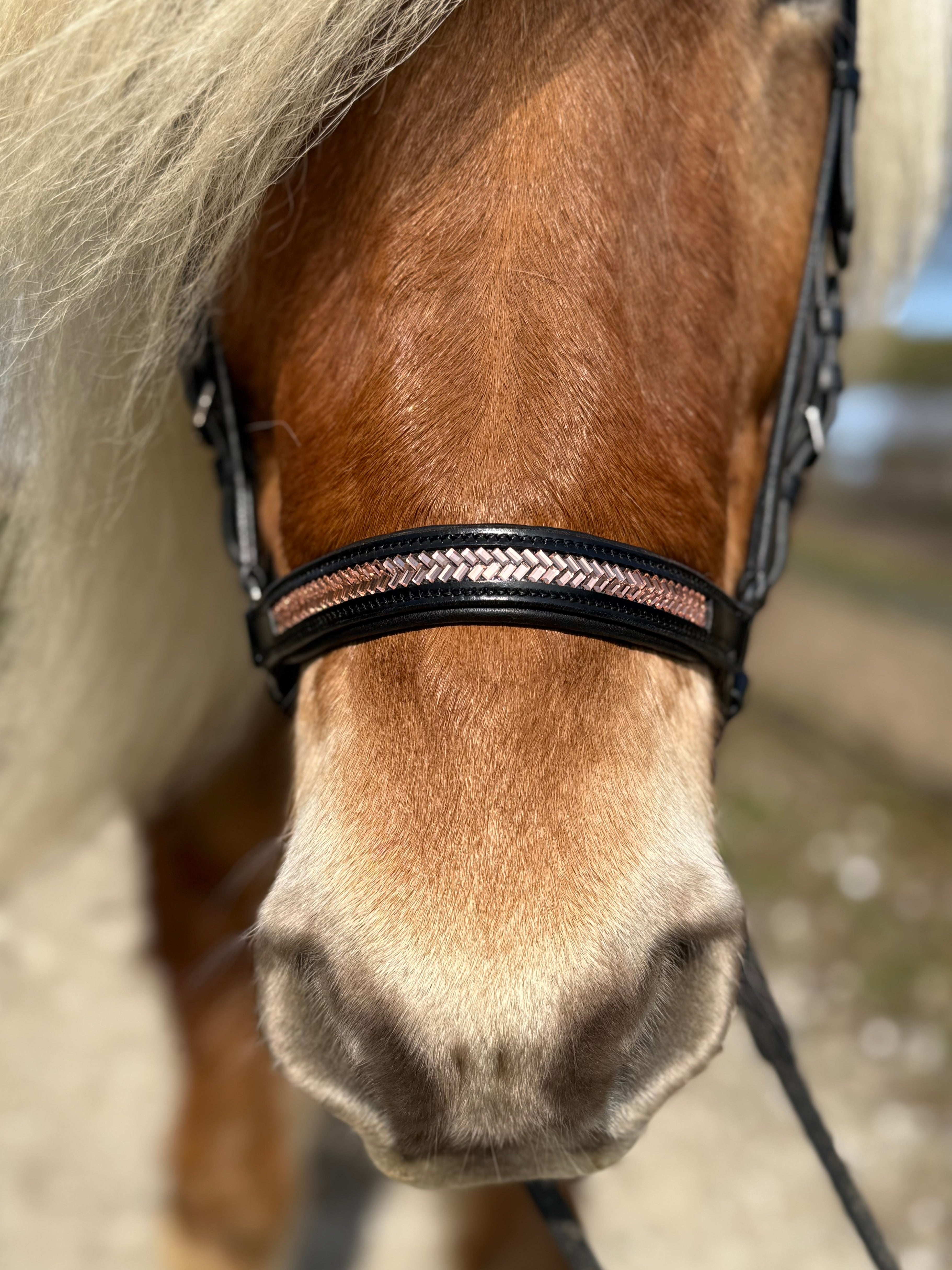 PH deluxe hannoveransk næserem arrow rosegold - Aríus Icehorse Line