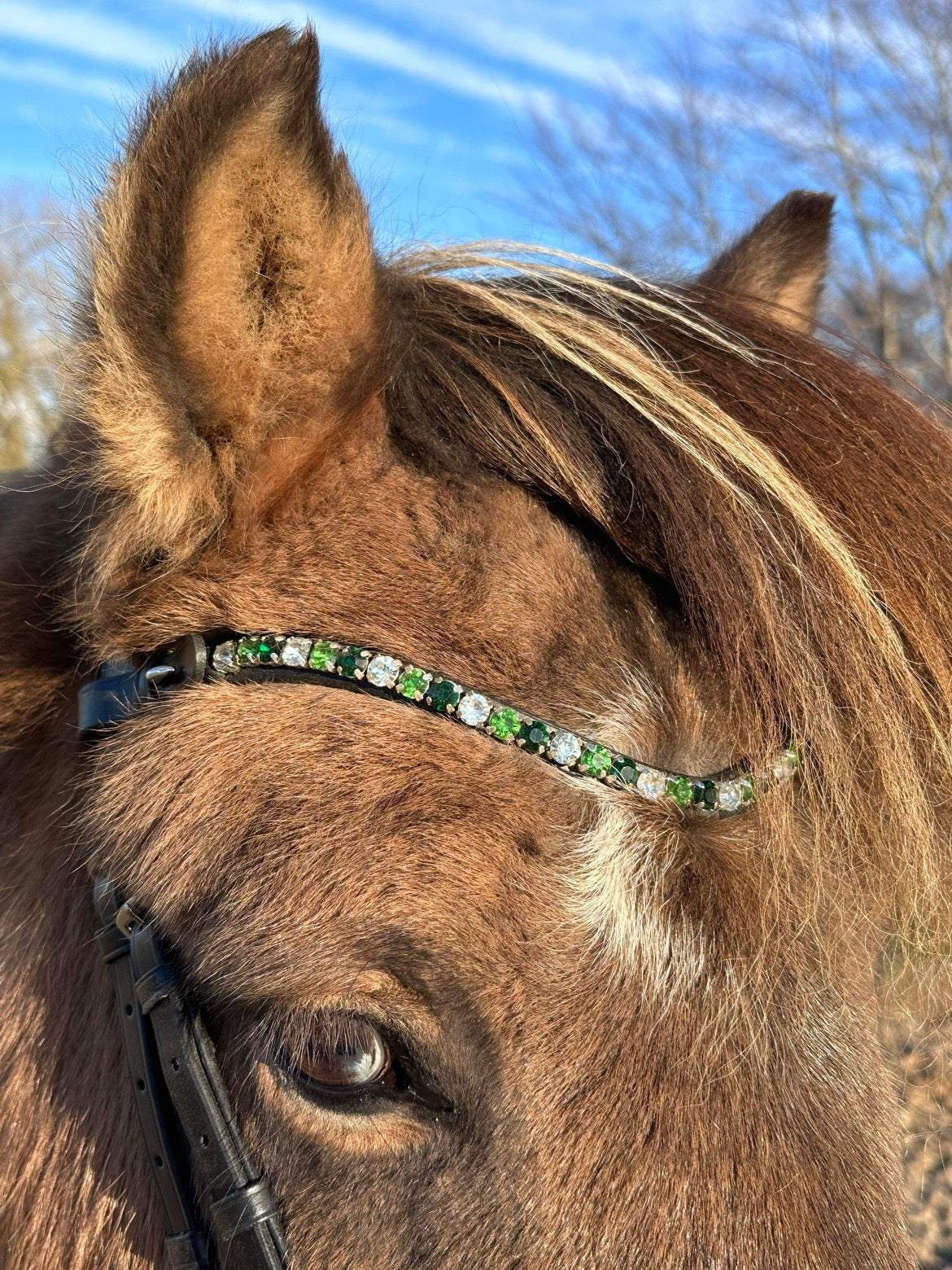 PH deluxe pandebånd “DIAMOND fine” green - Aríus Icehorse Line