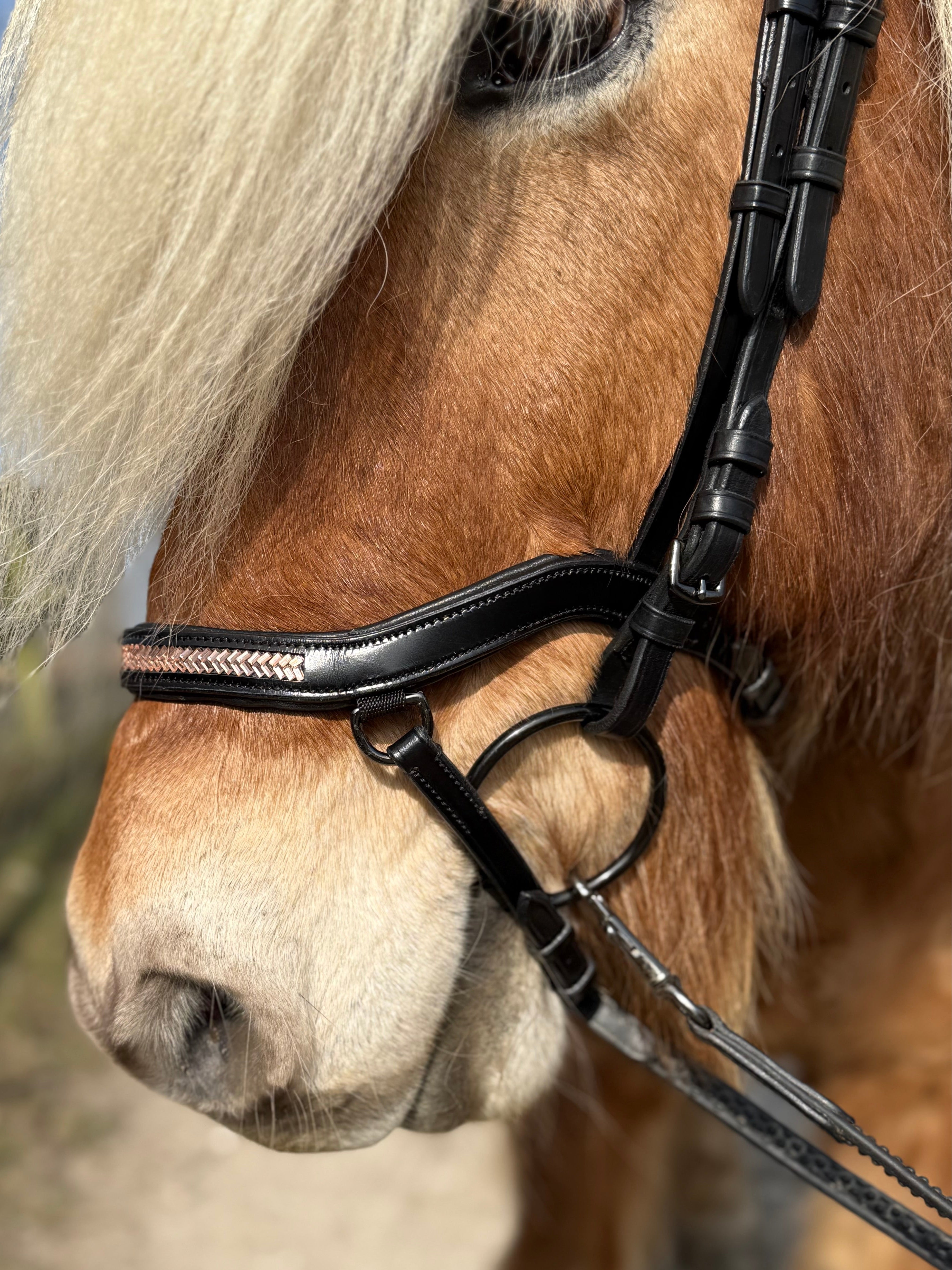 PH deluxe næsebånd "Anatomic" buckle arrow rosegold - Aríus Icehorse Line