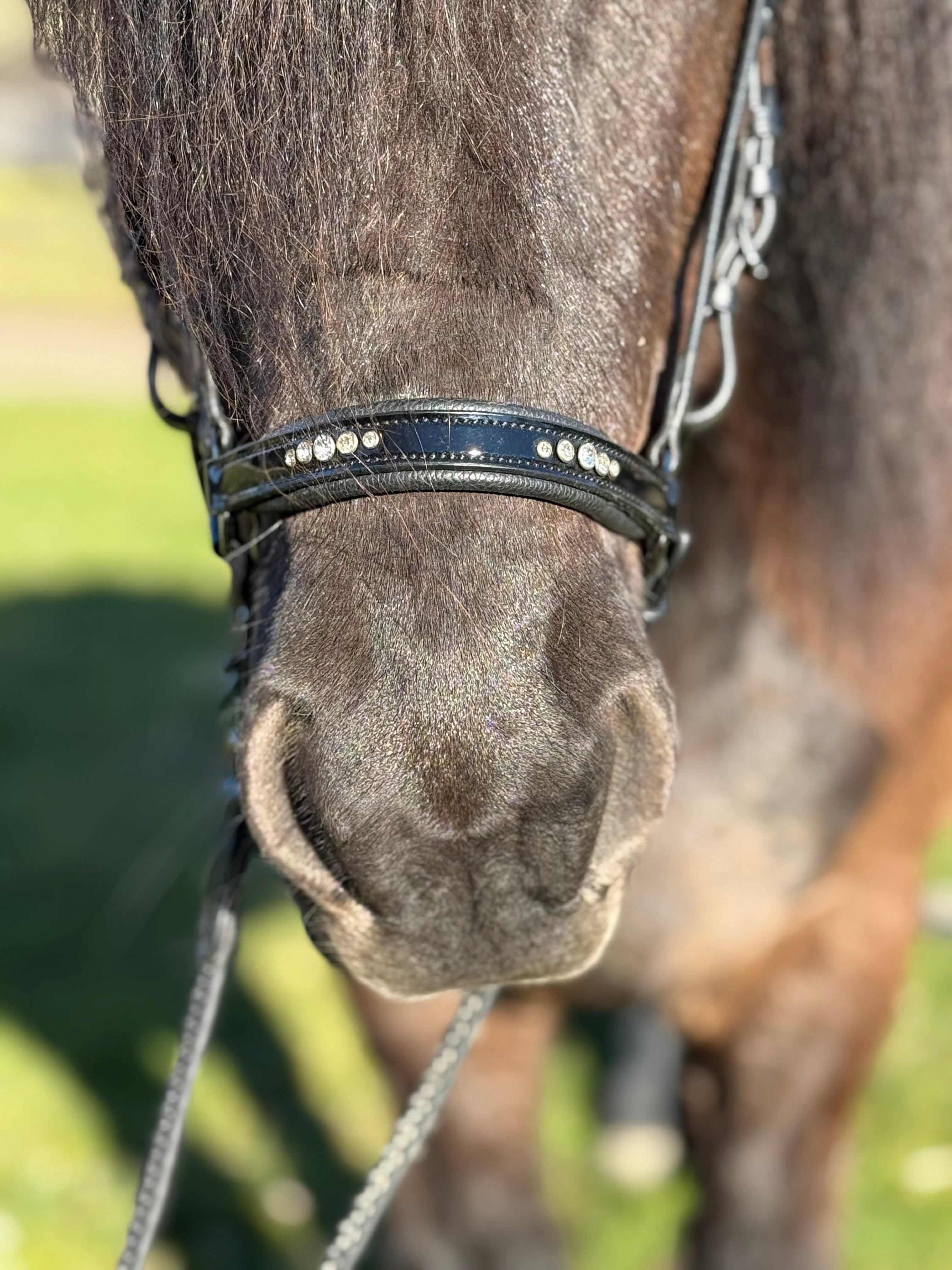 PH deluxe hannoveransk næsebånd “5 DIAMONDs” shine - Aríus Icehorse Line
