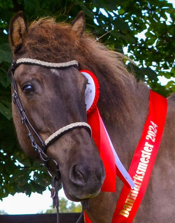 PH deluxe engelsk næserem silver braid - Aríus Icehorse Line