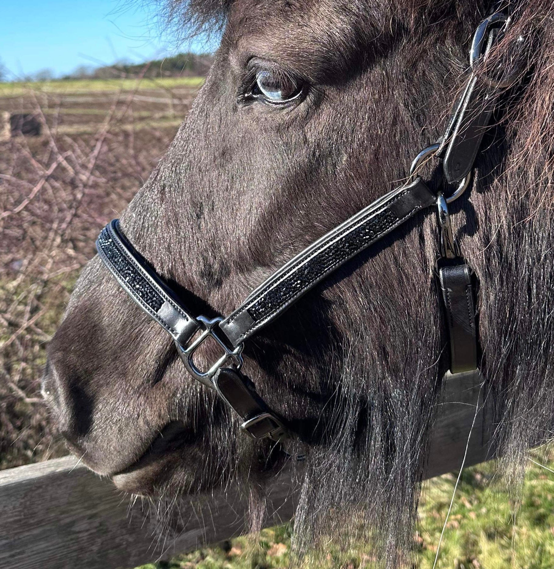 PH grime rockcrystal black - Aríus Icehorse Line