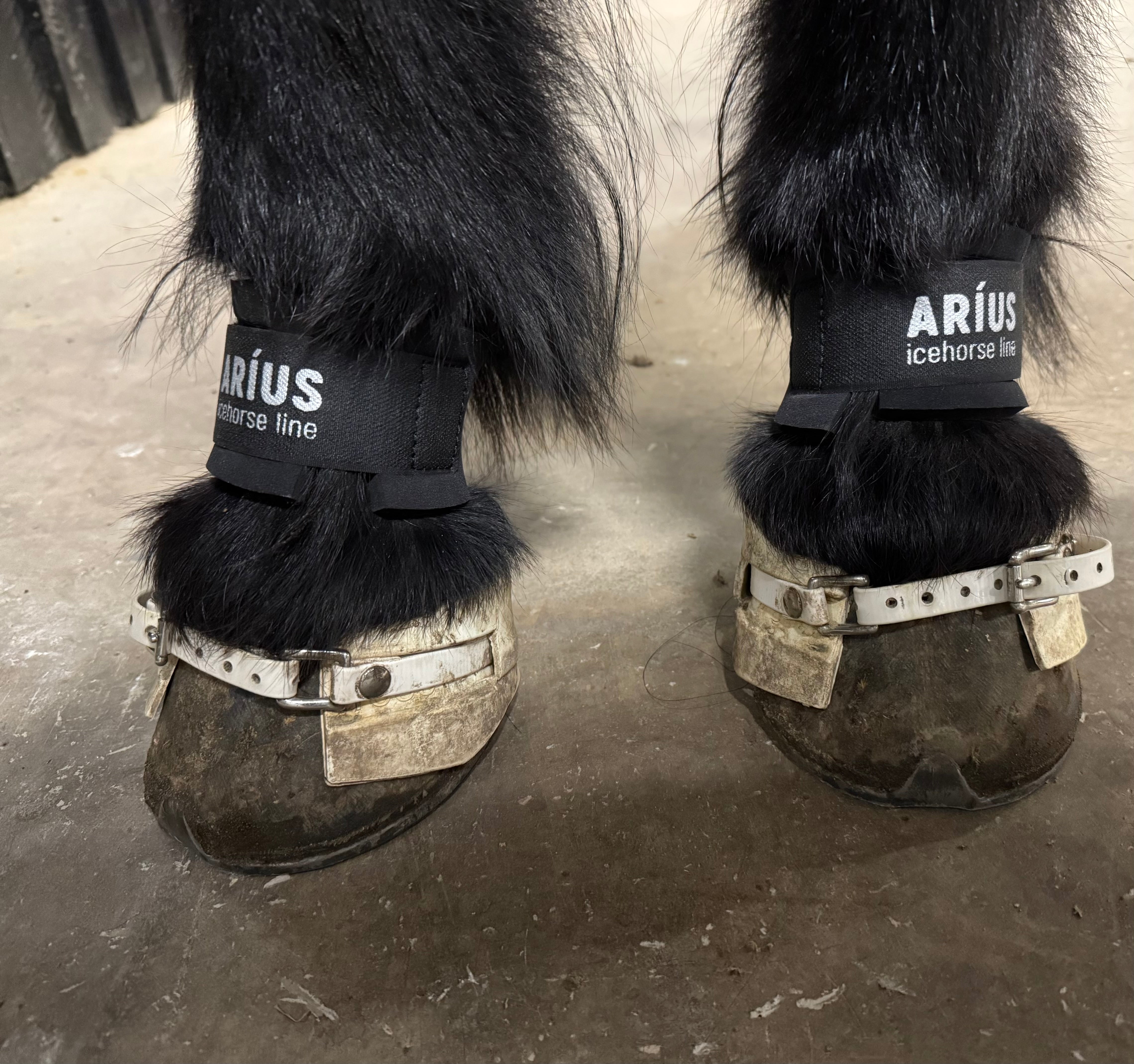Aríus kodeledsbeskyttere sorte eller hvide - Aríus Icehorse Line
