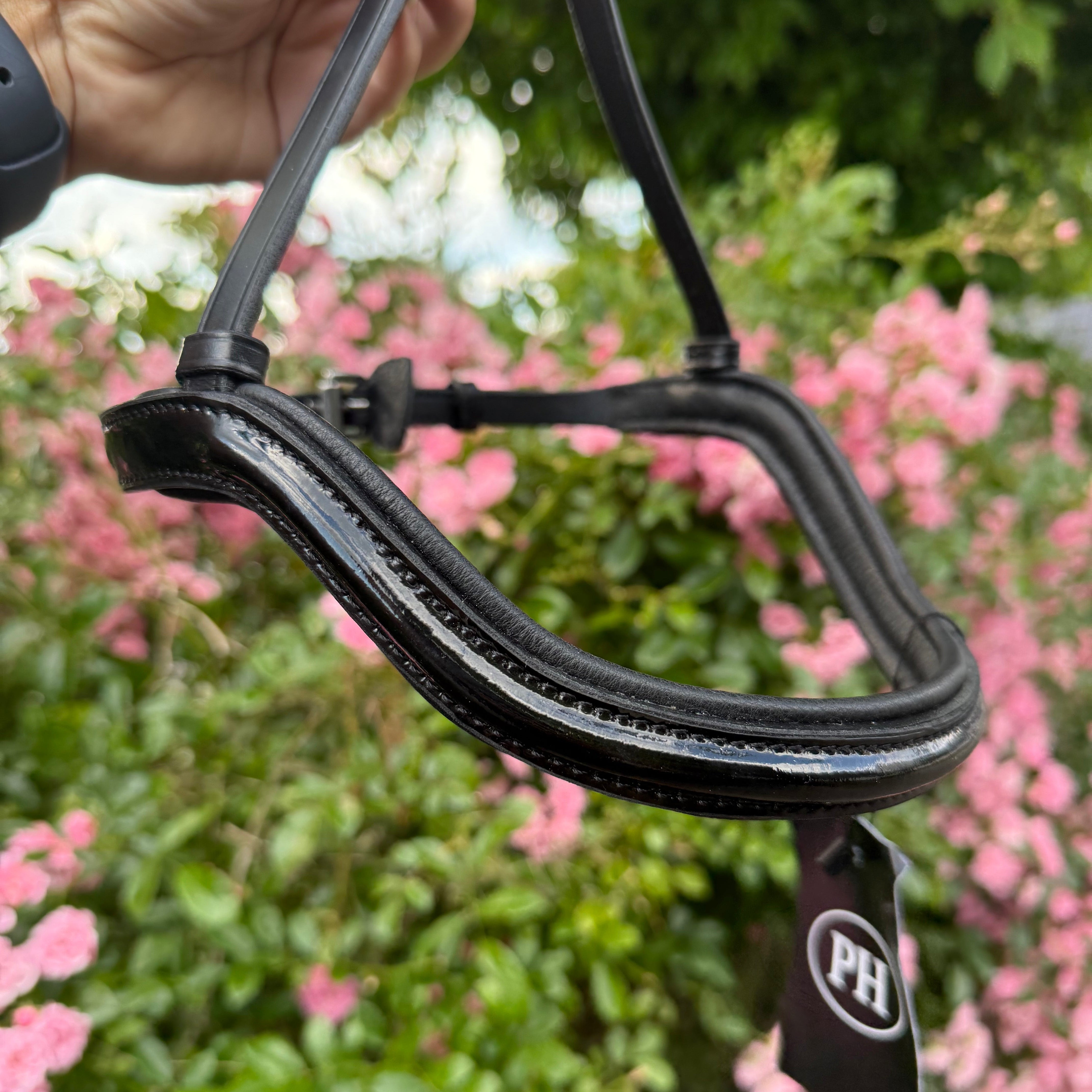 PH deluxe næserem engelsk anatomic shine - Aríus Icehorse Line