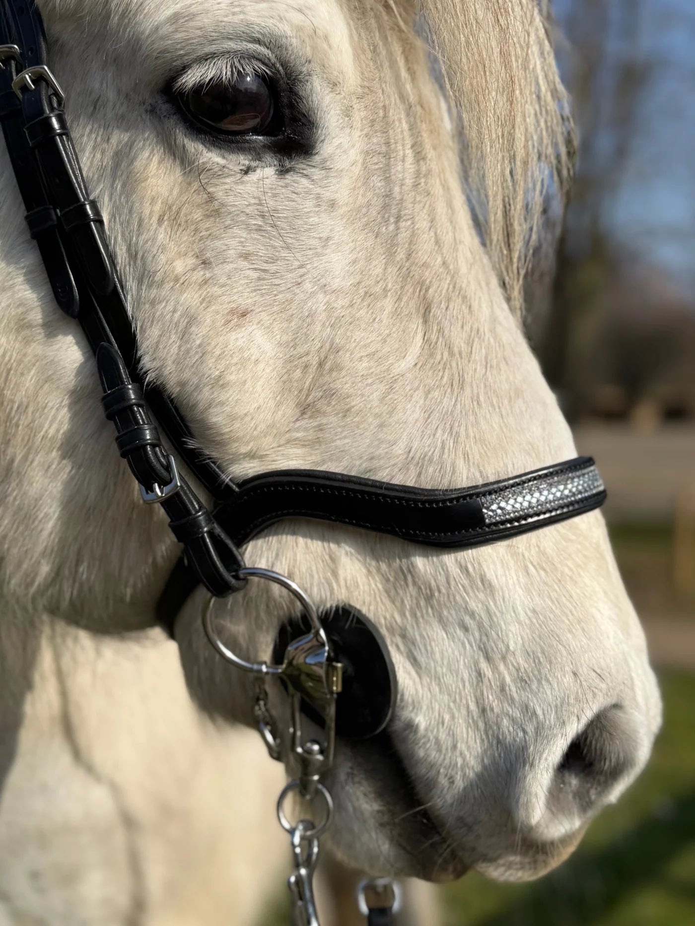 PH deluxe næserem engelsk anatomic glitter - Aríus Icehorse Line