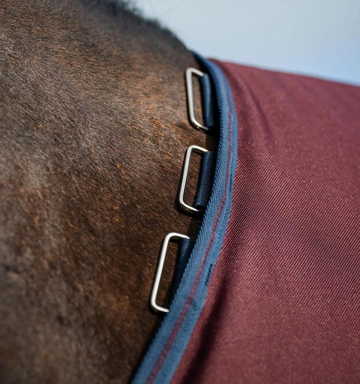 Horseware Amigo 1200D plus turnout 50 gram incl. hals