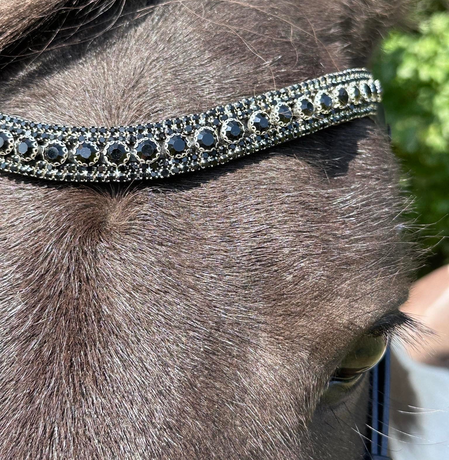 PH deluxe pandebĂ„nd brilliant Black - ArĂus Icehorse Line