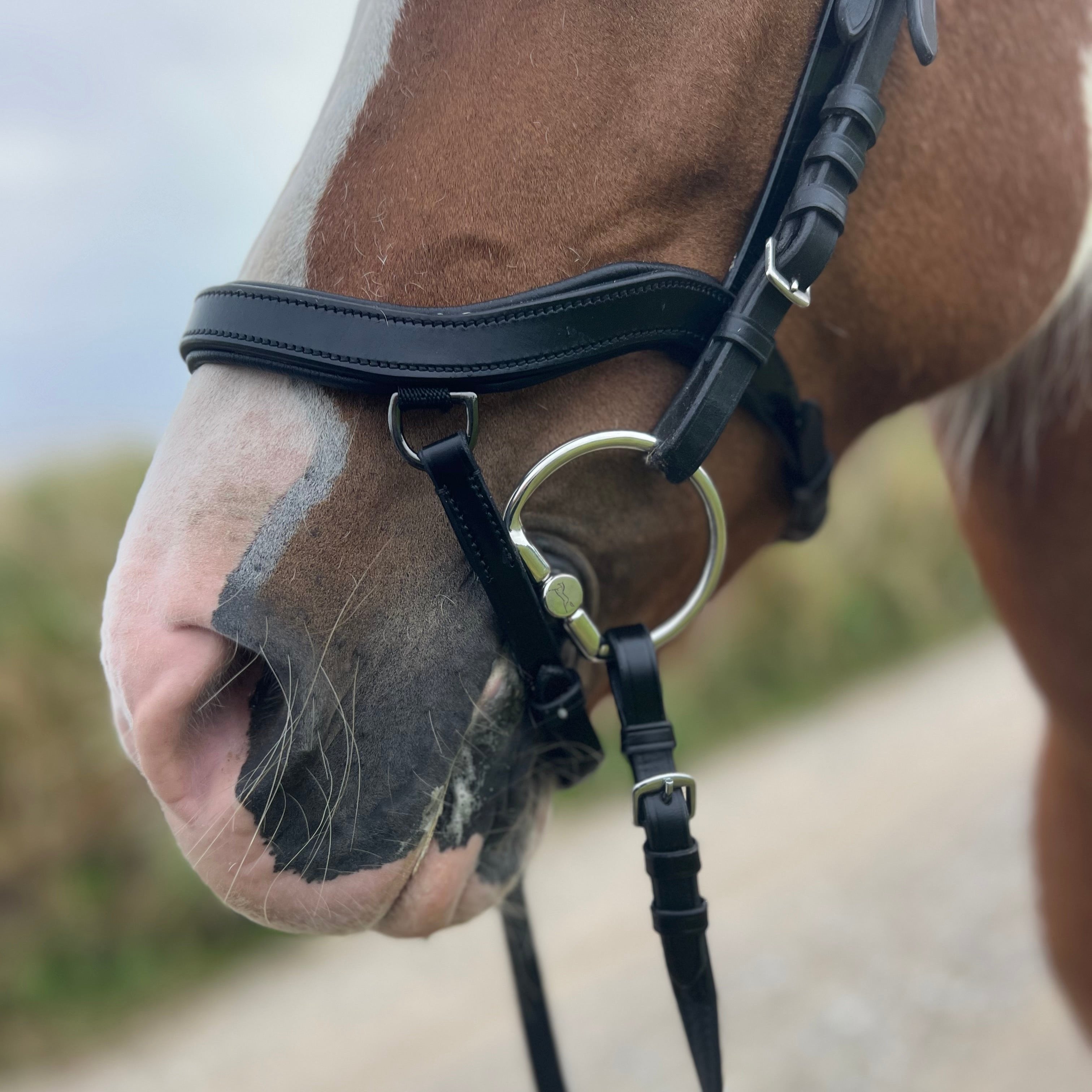 PH deluxe næsebånd soft "Anatomic" buckle - Aríus Icehorse Line