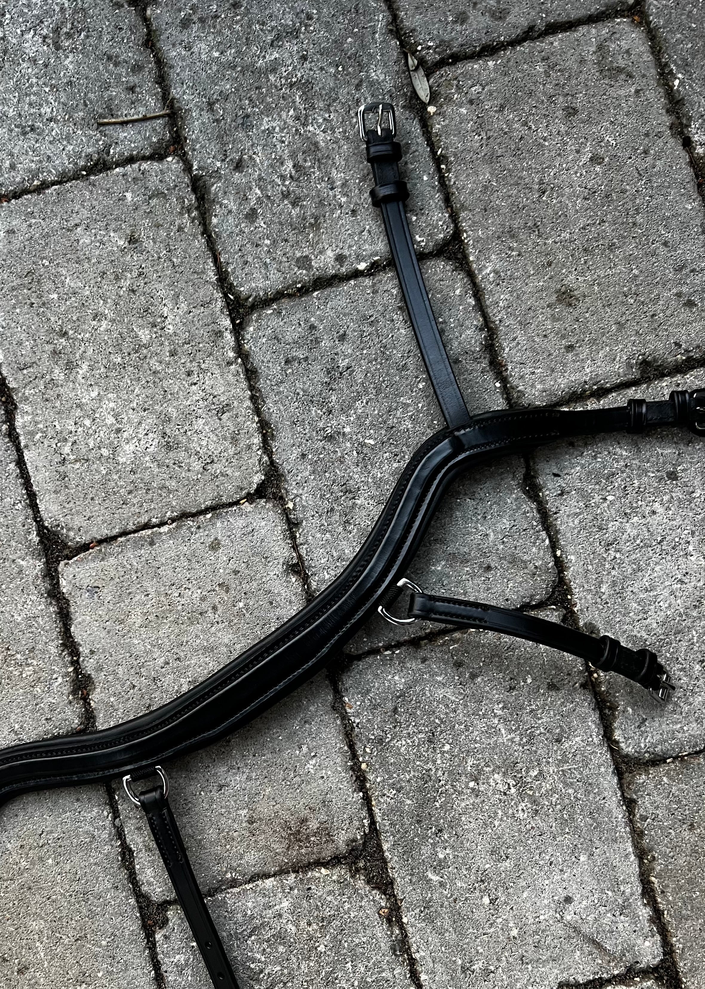 PH deluxe næsebånd "Anatomic" buckle - Aríus Icehorse Line
