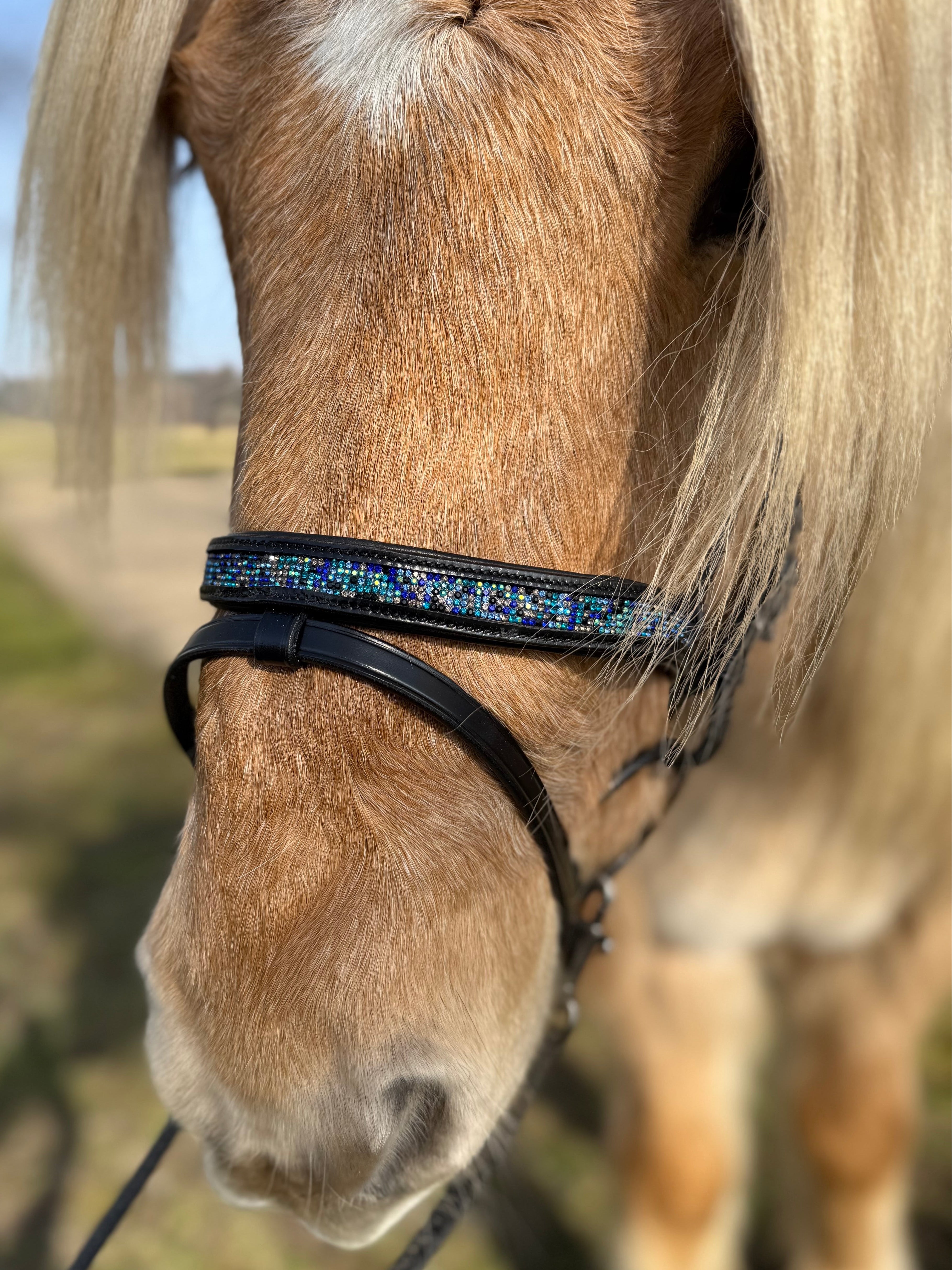 PH deluxe kombineret næserem blue magic - Aríus Icehorse Line