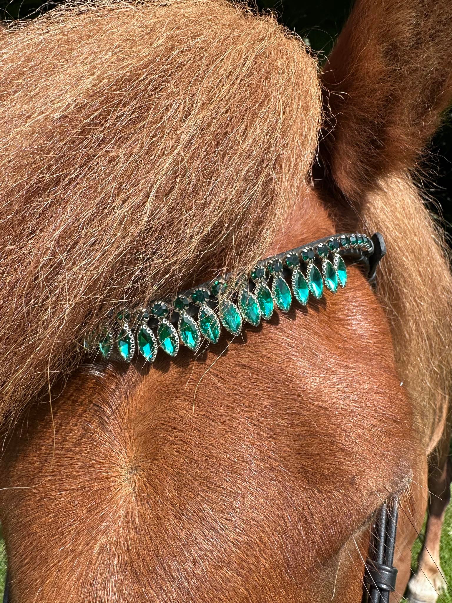 PH deluxe pandebånd diamond diadem - Aríus Icehorse Line