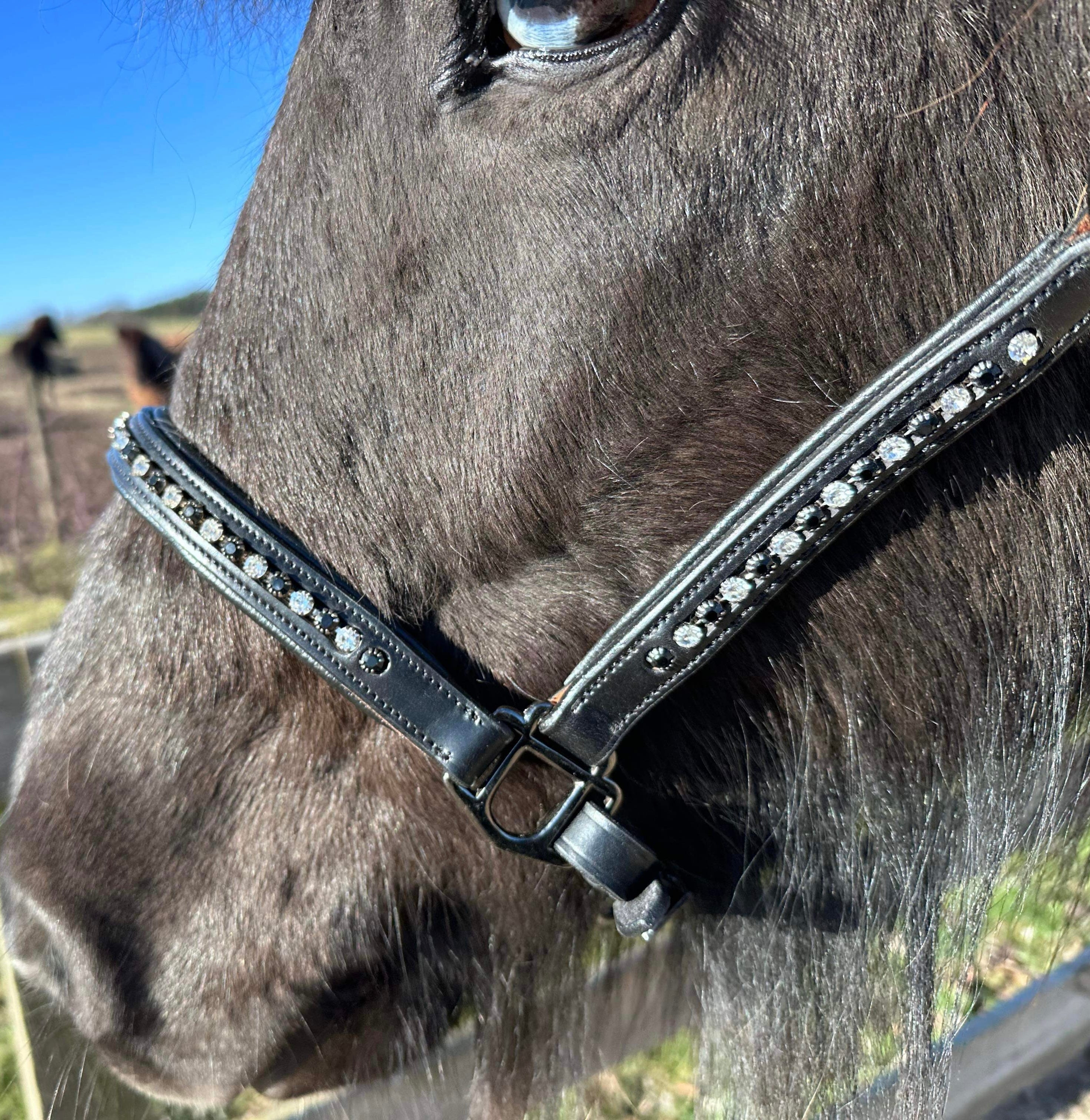 PH grime DIAMOND Black&white - Aríus Icehorse Line