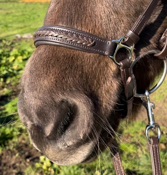 PH deluxe hannoveransk næserem braid exclusive - brown - Aríus Icehorse Line