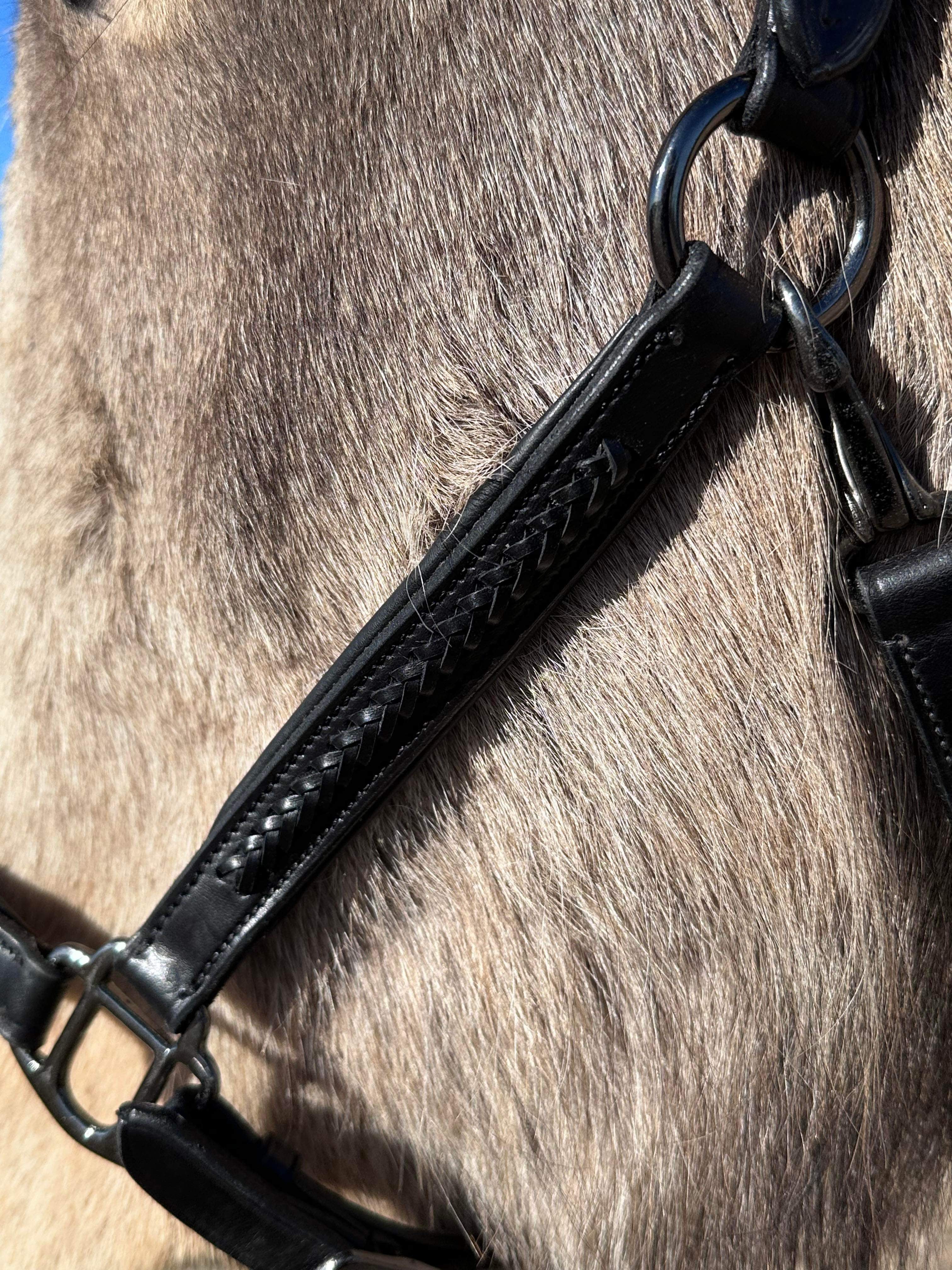 PH grime braid exclusive black - Aríus Icehorse Line