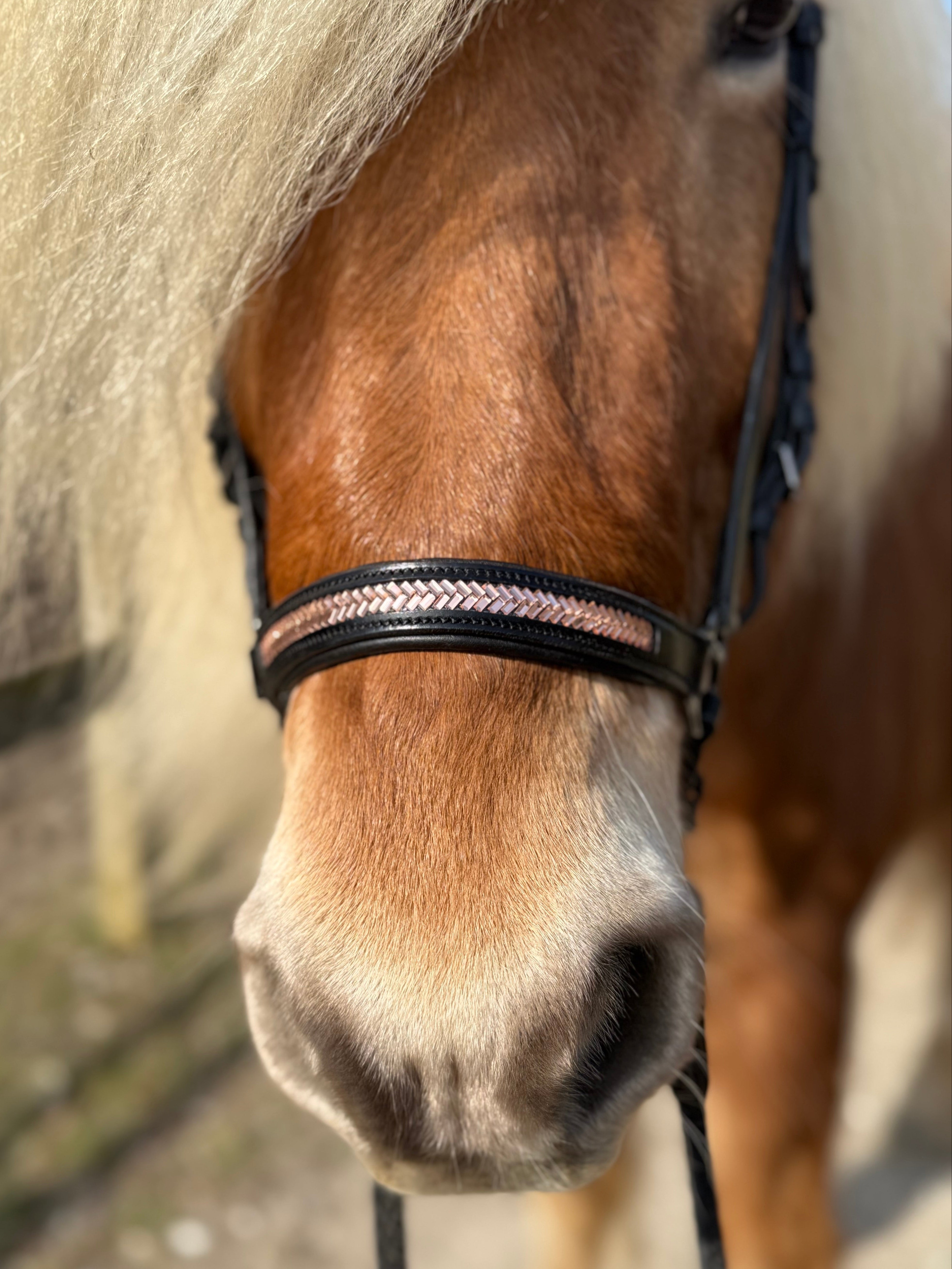 PH deluxe hannoveransk næserem arrow rosegold - Aríus Icehorse Line