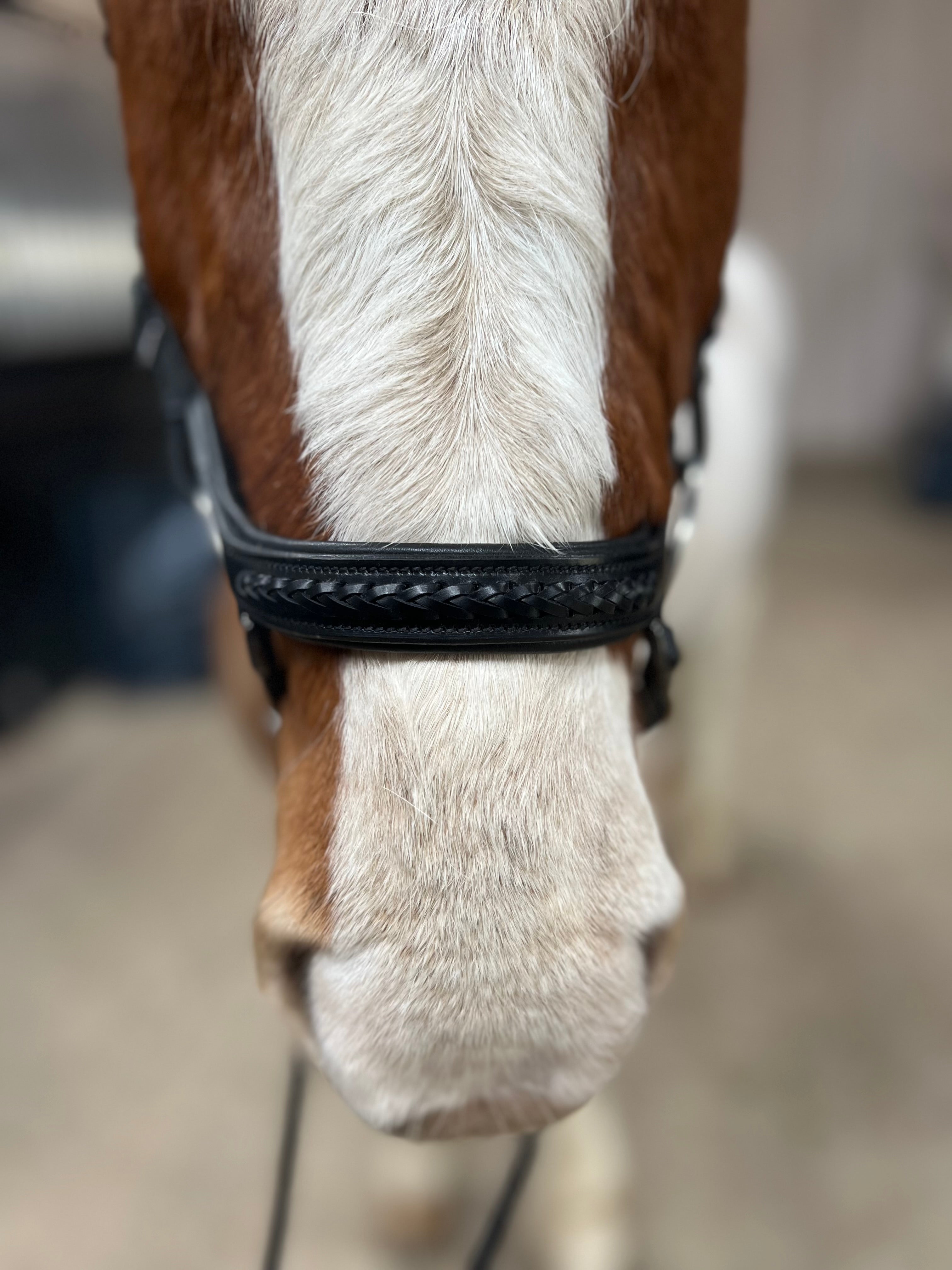 PH deluxe næsebånd "Anatomic" buckle exclusive braid - Aríus Icehorse Line