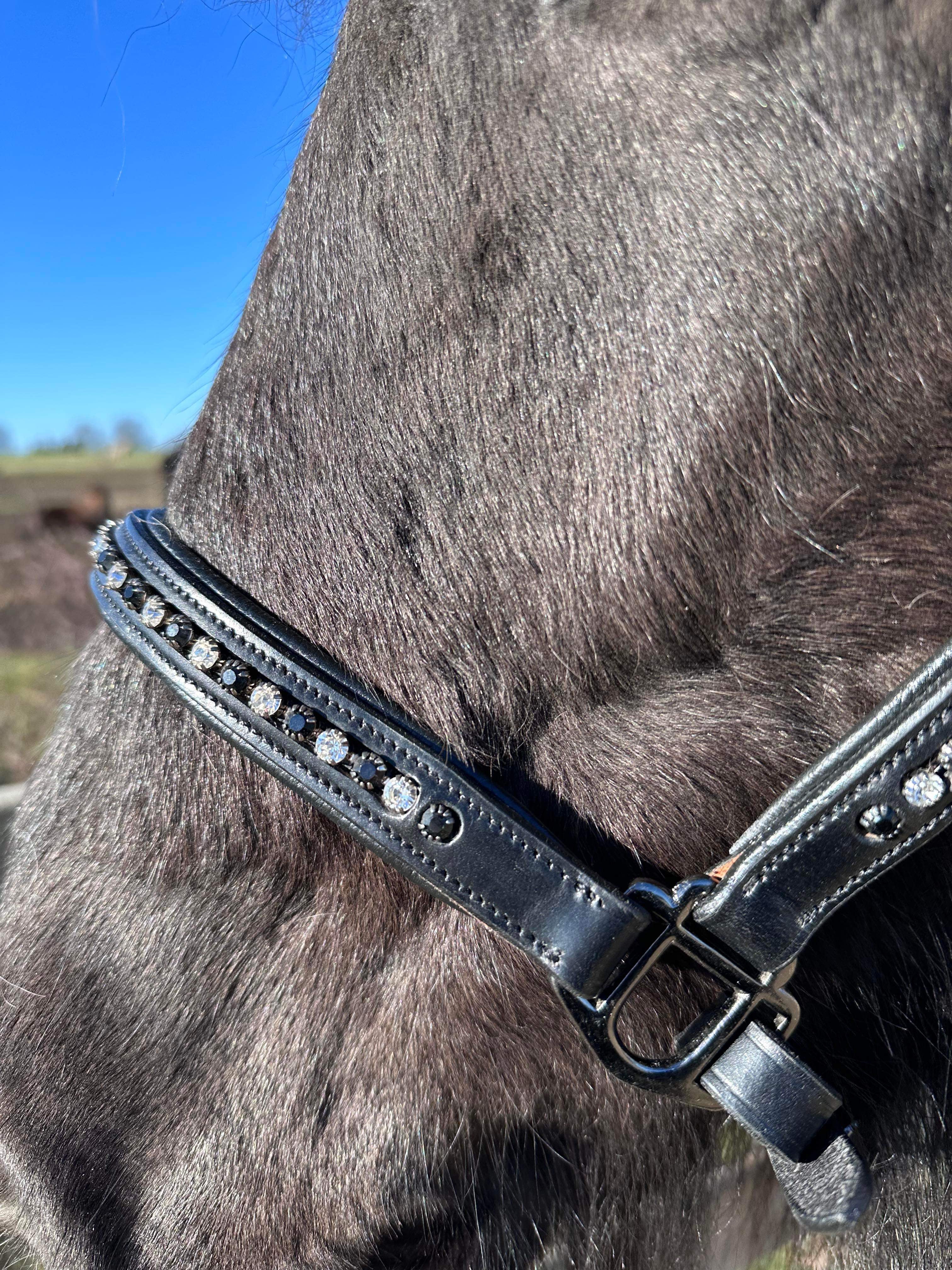 PH grime DIAMOND Black&white - Aríus Icehorse Line