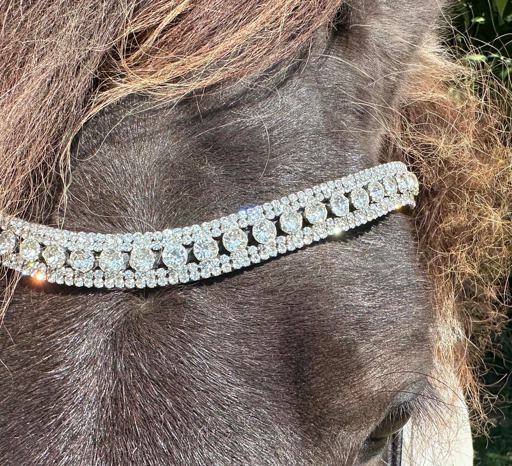 PH deluxe pandebånd brilliant white - Aríus Icehorse Line