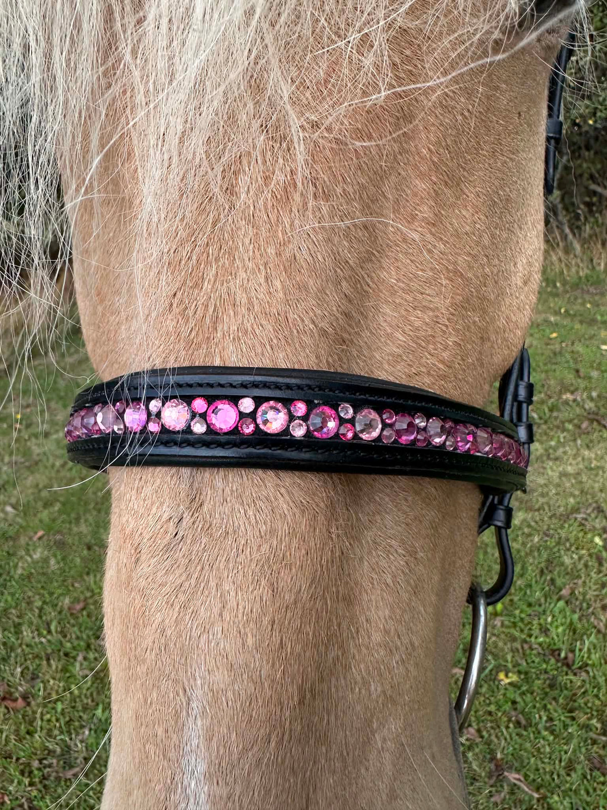 PH deluxe engelsk næserem moonstone pink