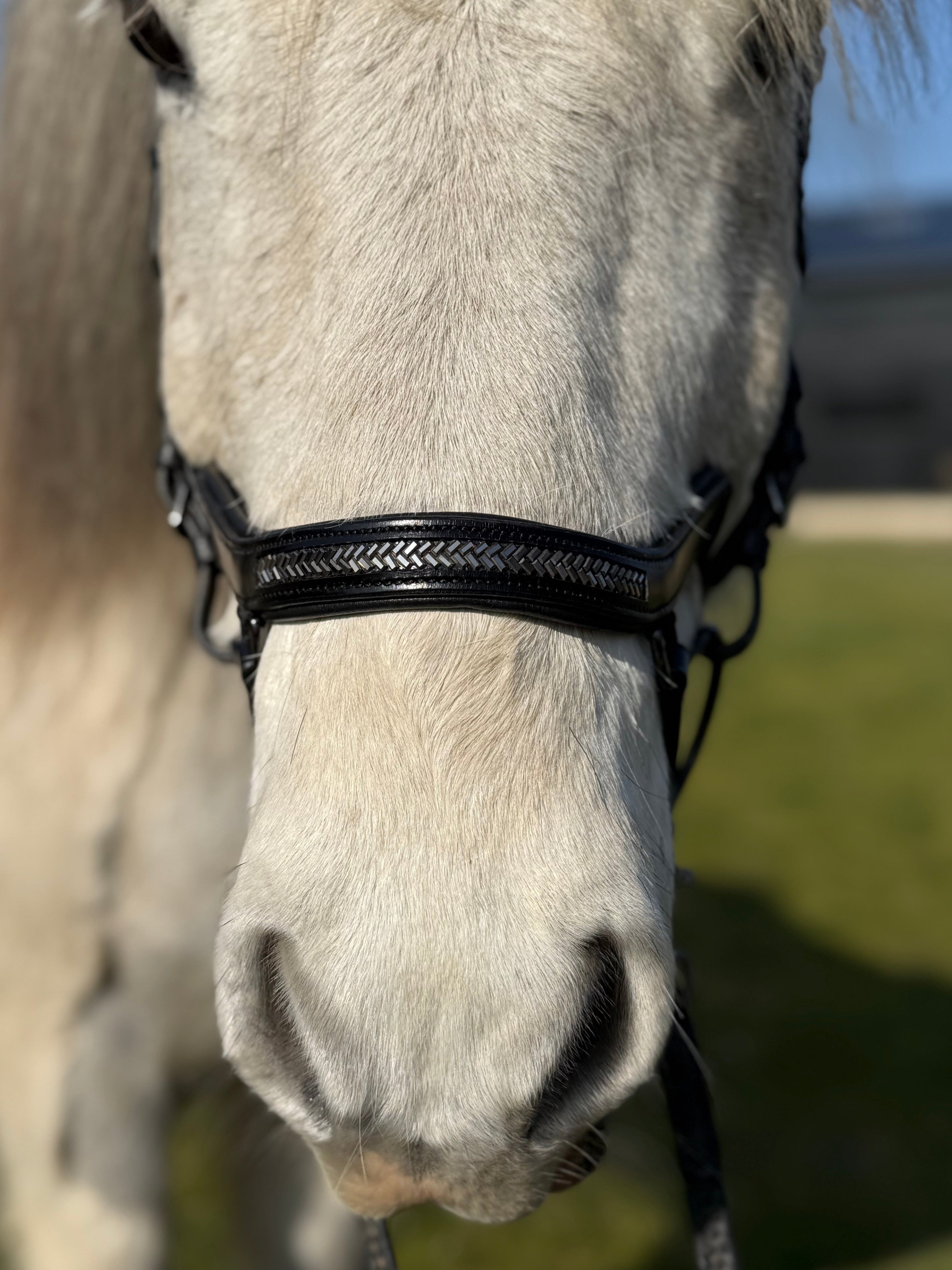 PH deluxe næsebånd "Anatomic" buckle arrow dark grey - Aríus Icehorse Line