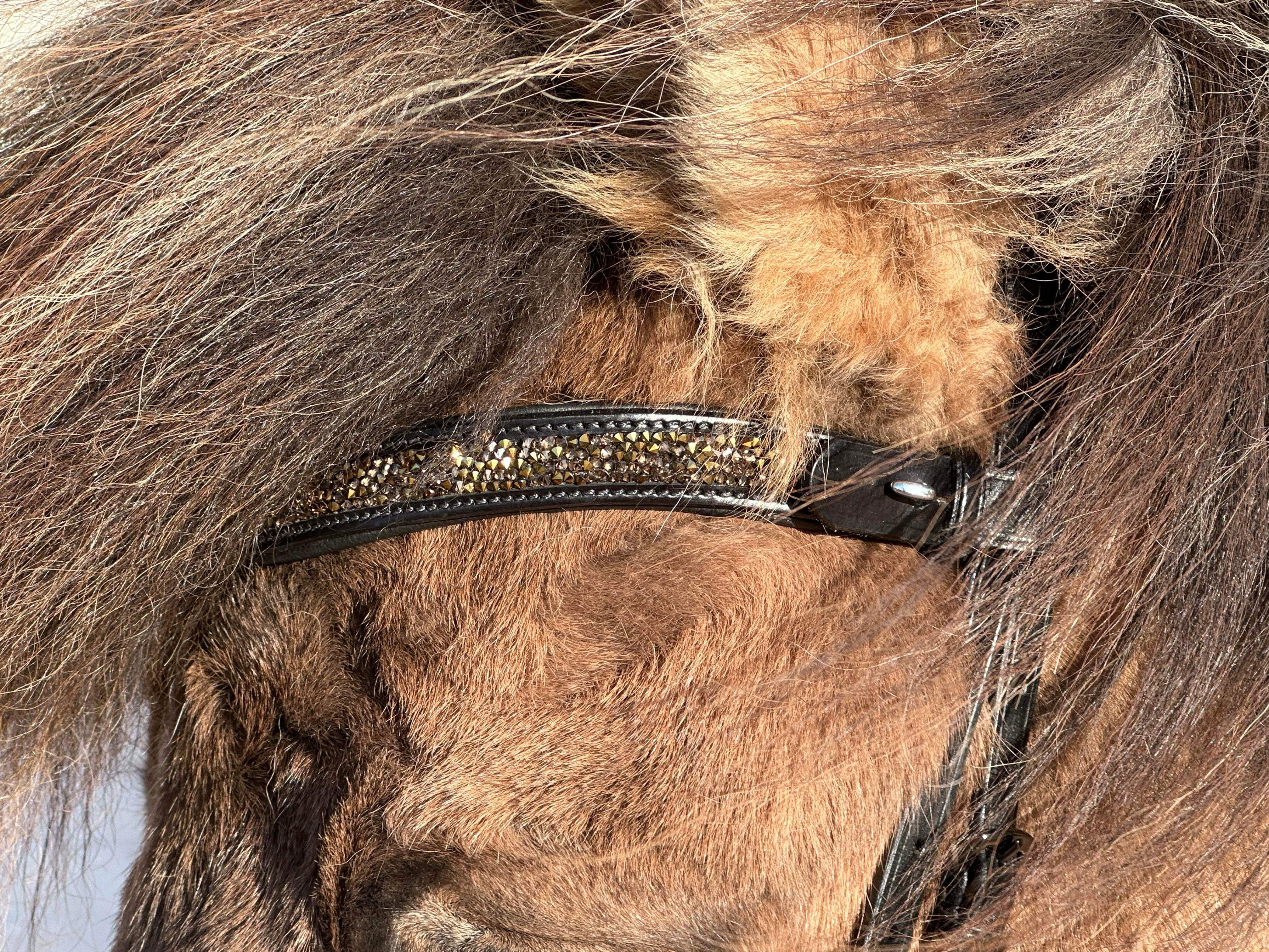 PH deluxe pandebånd rockcrystal gold - Aríus Icehorse Line