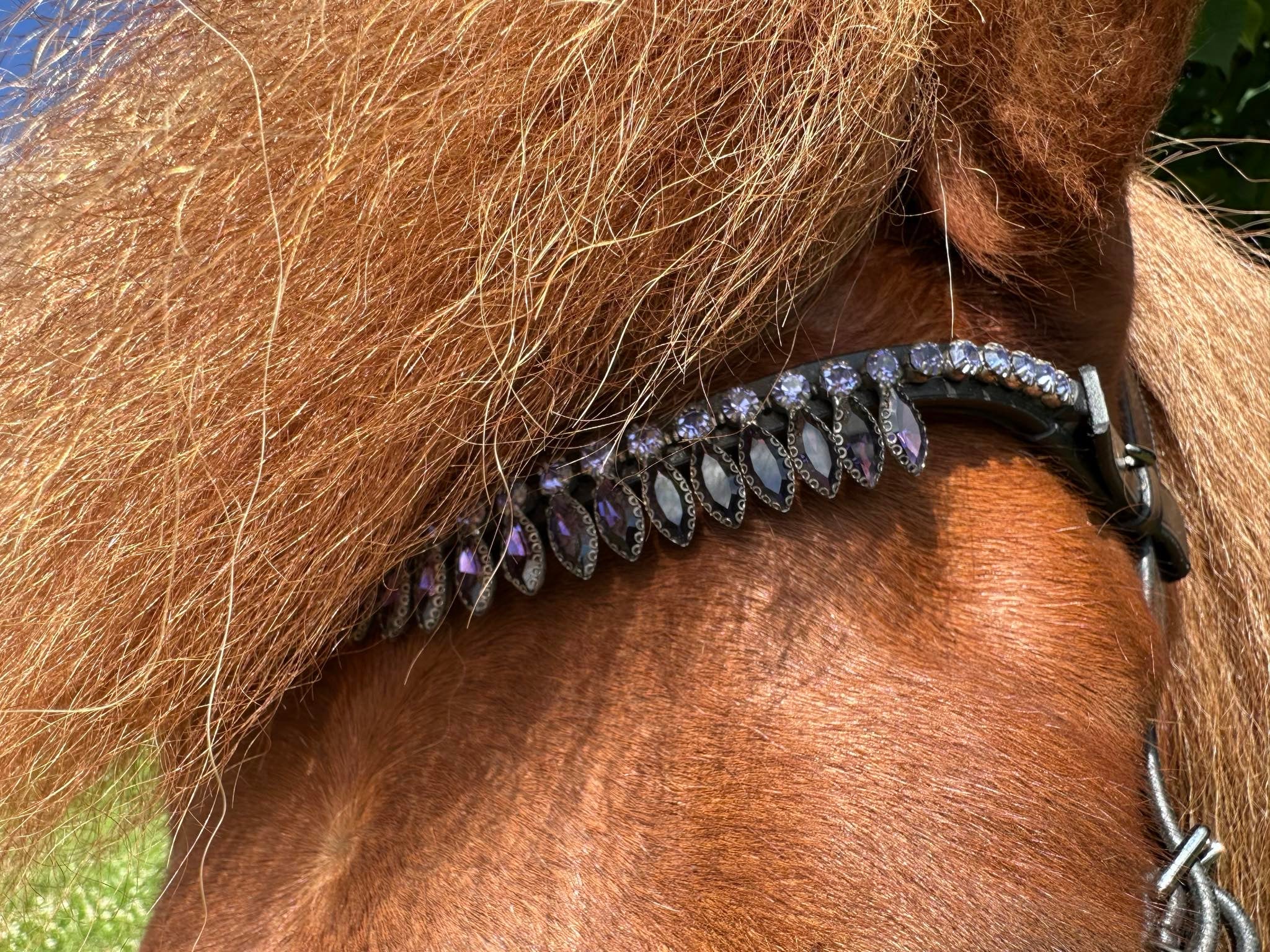PH deluxe pandebånd diamond diadem - Aríus Icehorse Line