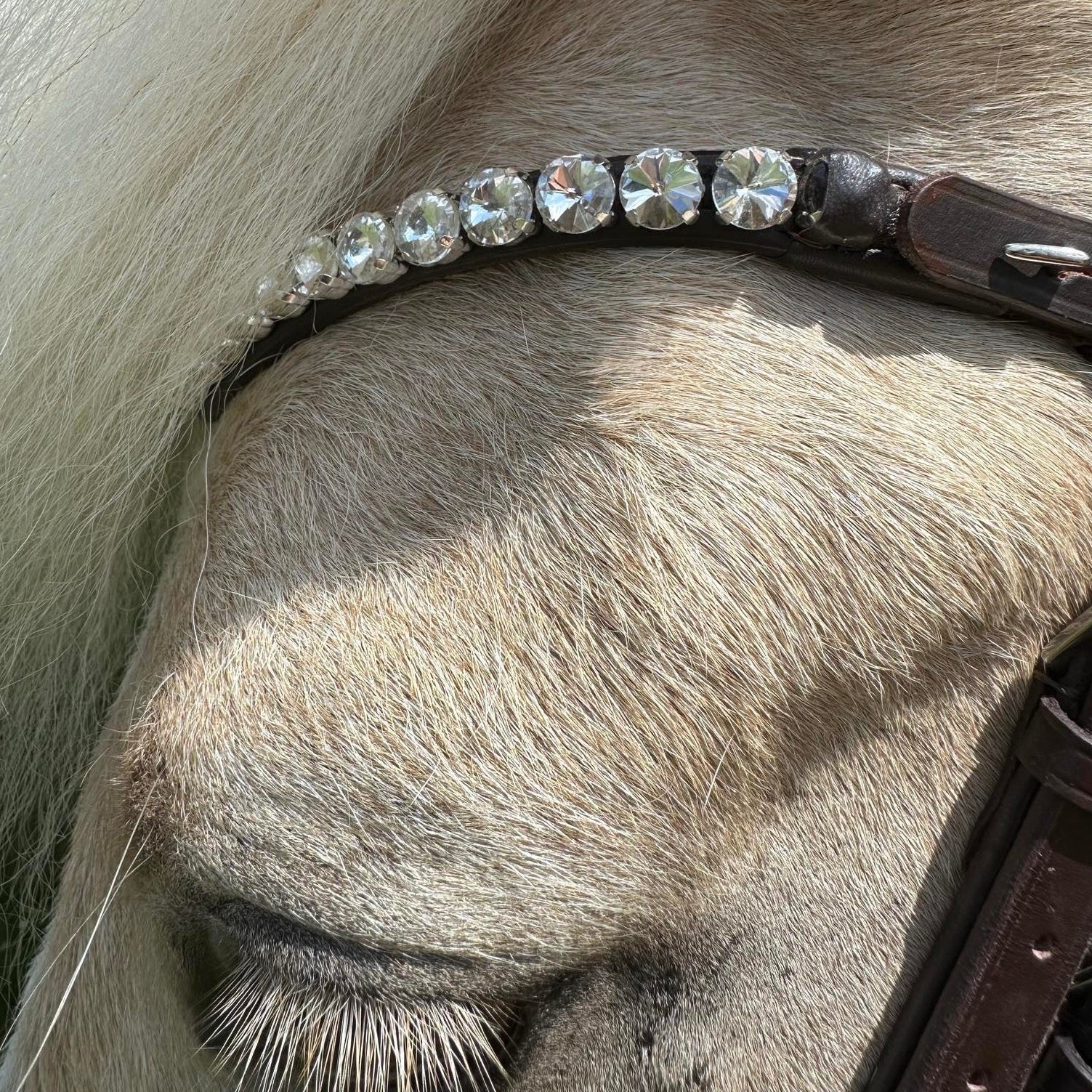 PH deluxe pandebånd “Big diamonds” white - brown - Aríus Icehorse Line