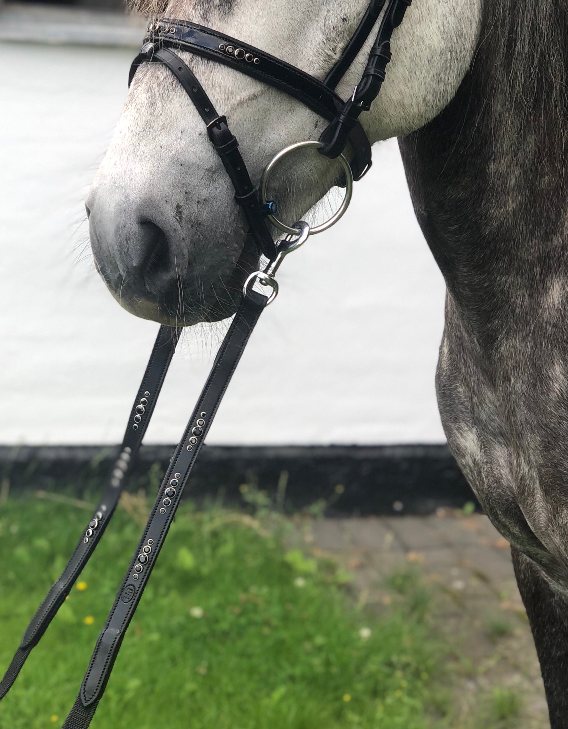 PH WEBTØJLE med stoppere “5 BLACK DIAMONDS" - Aríus Icehorse Line