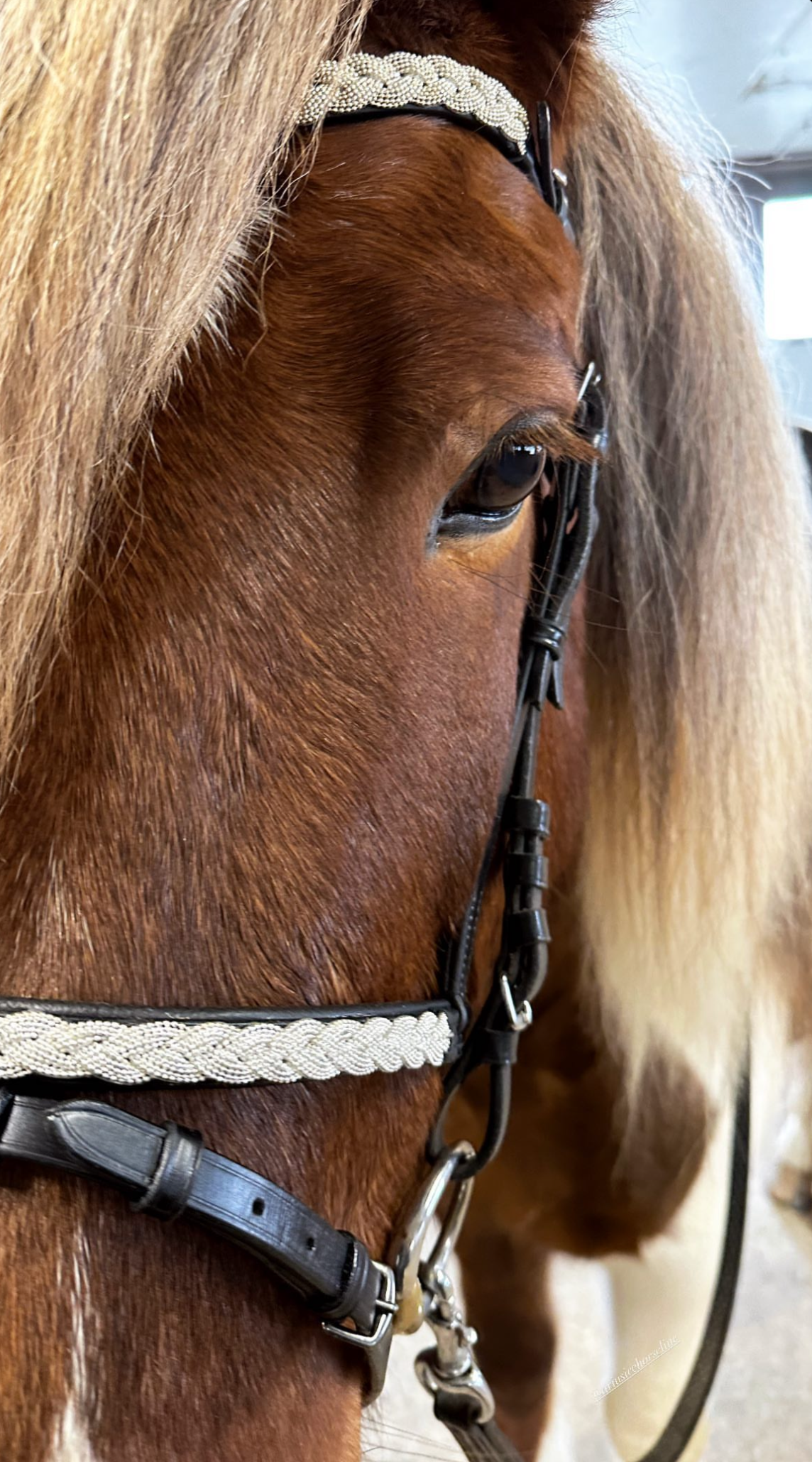 PH deluxe pandebånd silver braid - Aríus Icehorse Line