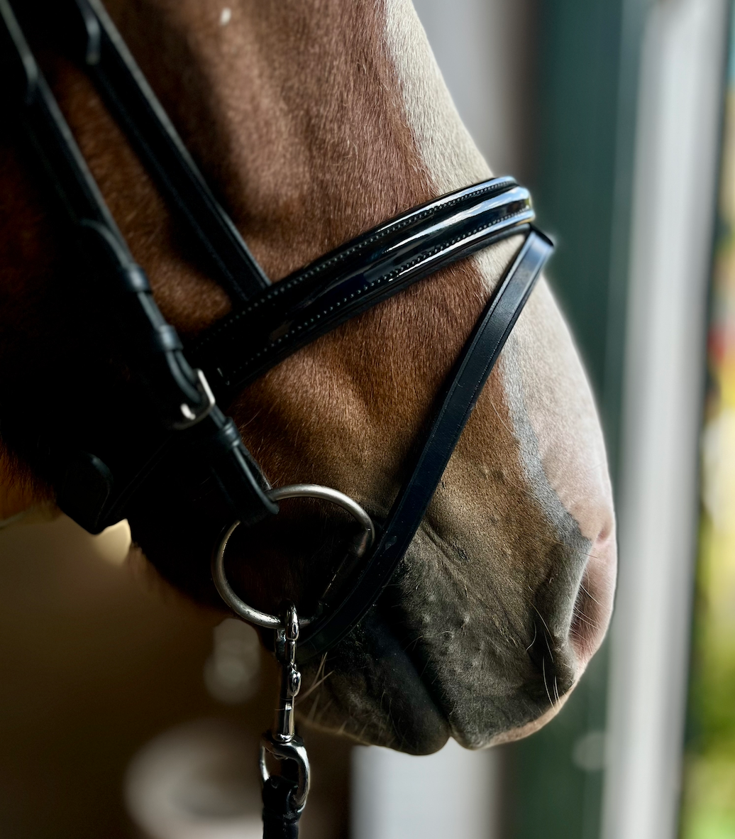 PH deluxe næserem kombineret shine - Aríus Icehorse Line