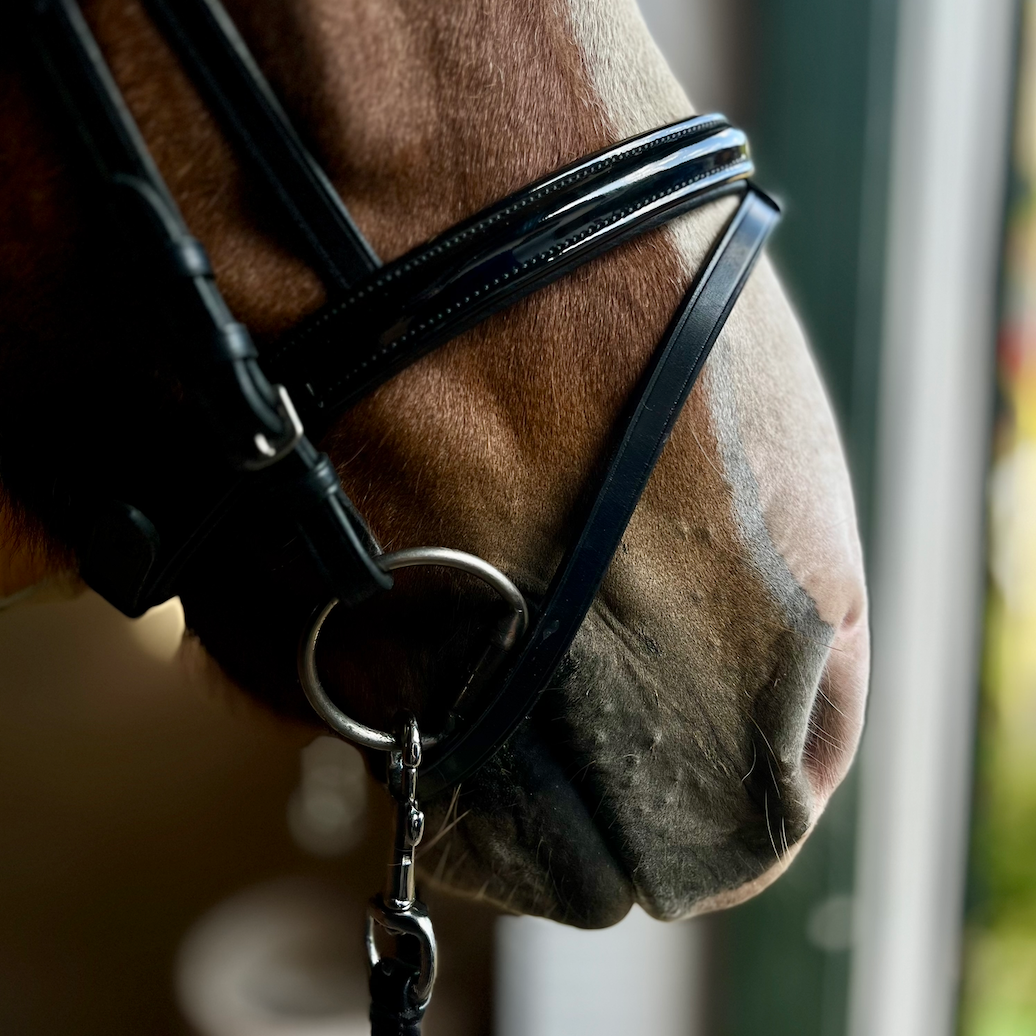 PH deluxe næserem kombineret shine - Aríus Icehorse Line