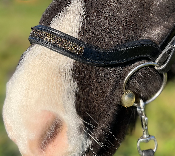 PH deluxe næserem engelsk anatomic rockcrystal gold - Aríus Icehorse Line
