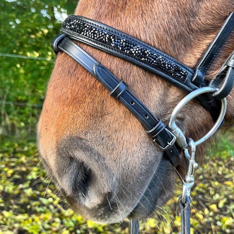PH deluxe kombineret næserem rockcrystal black - Aríus Icehorse Line